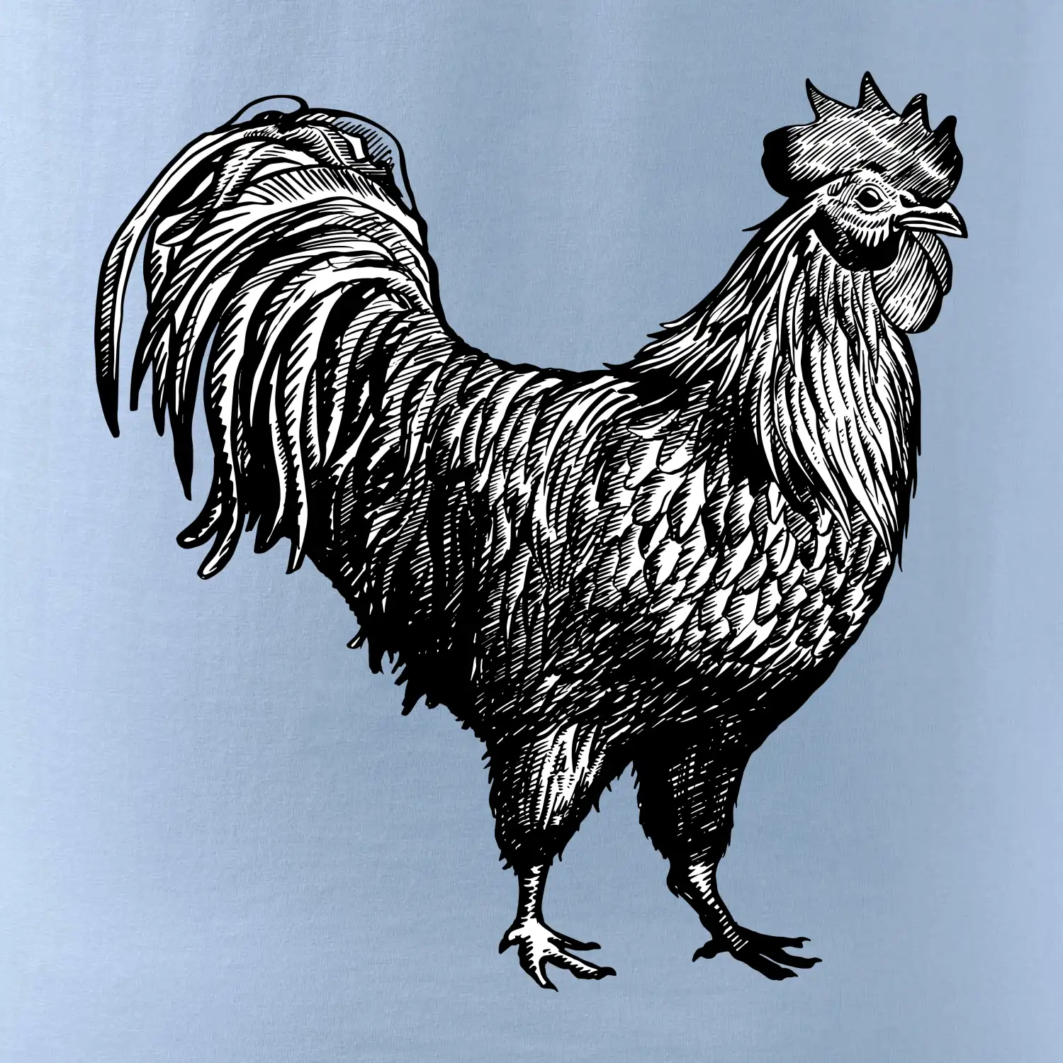 Kohout kreslený černobílý