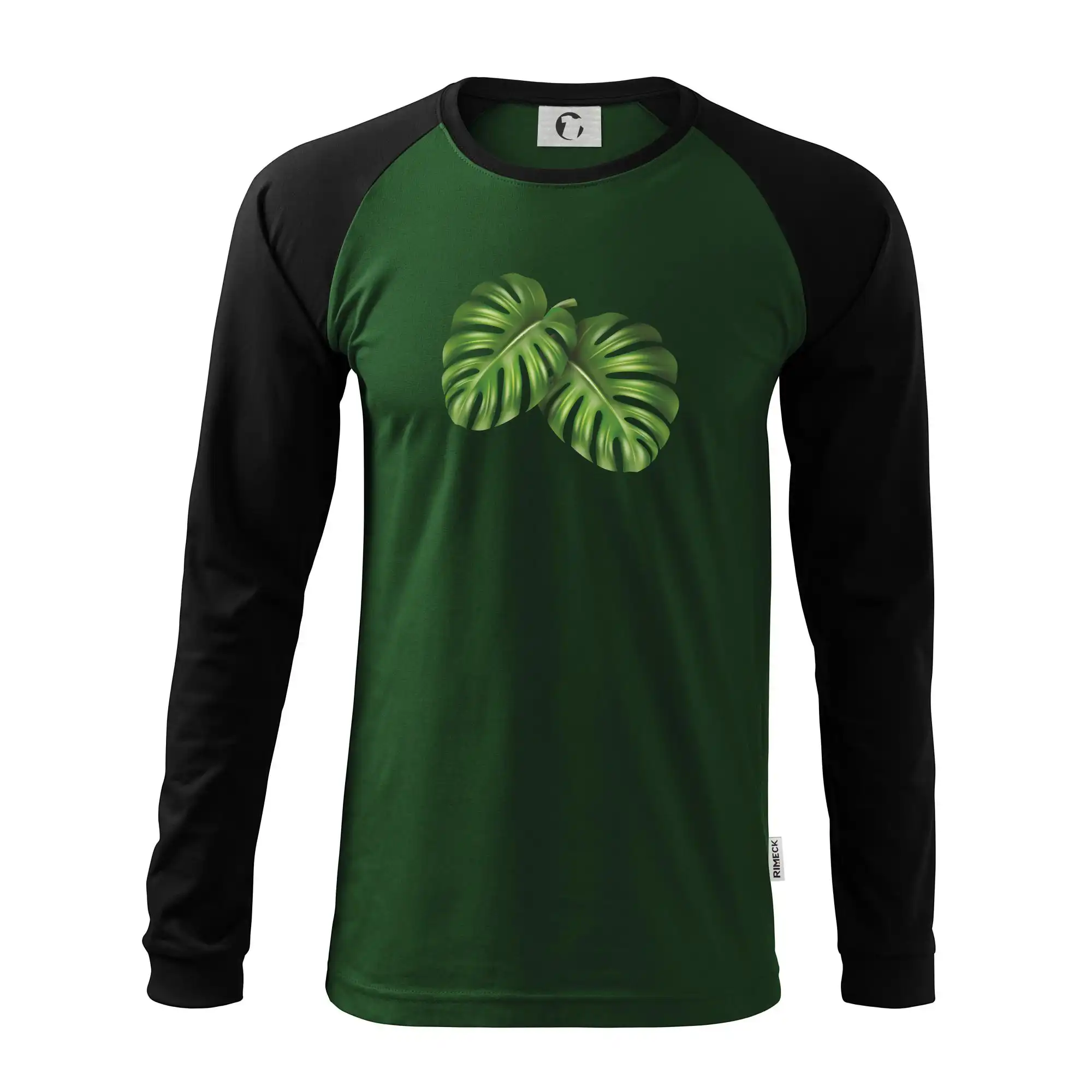 Monstera - dva listy
