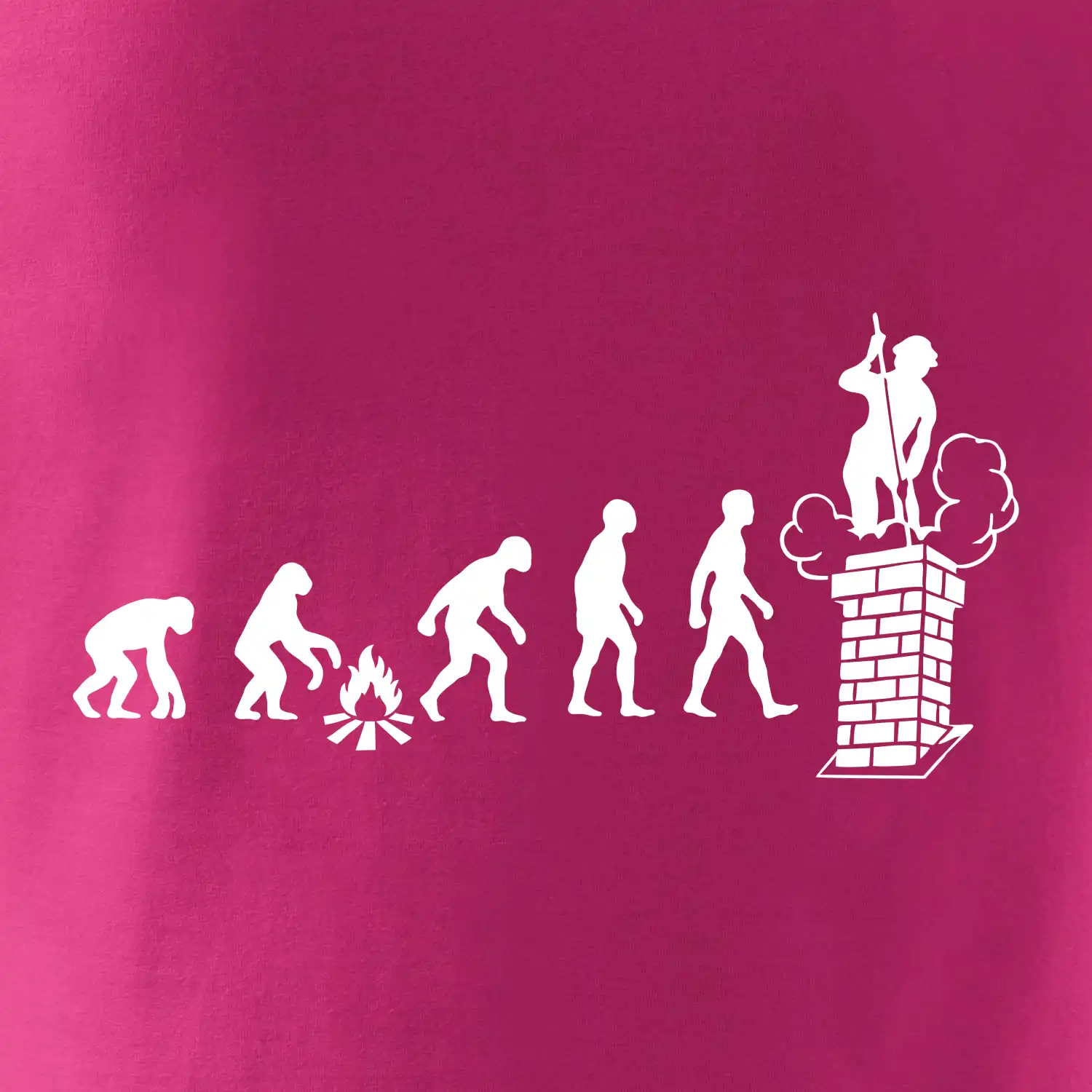 Evoluce kominík