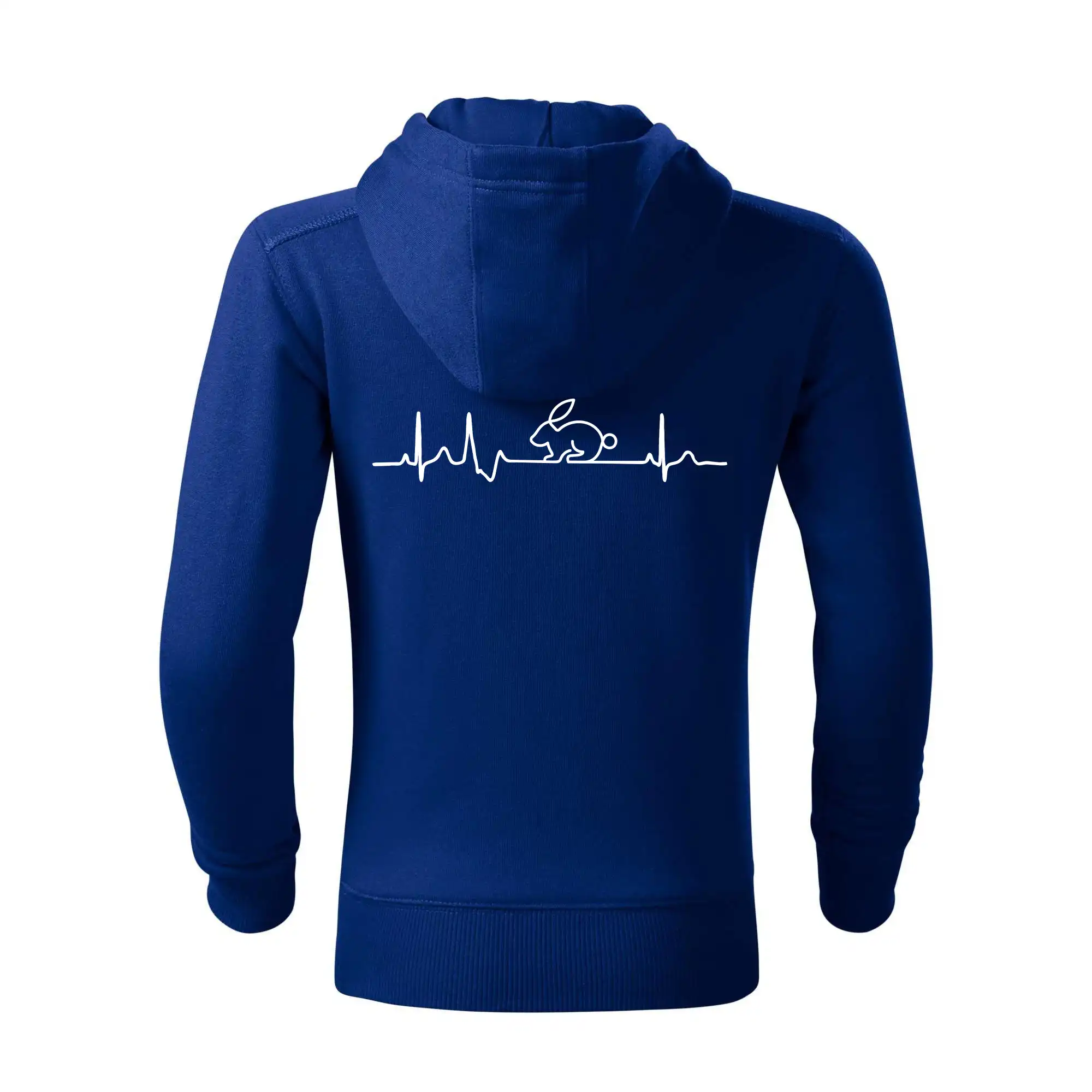 EKG králík