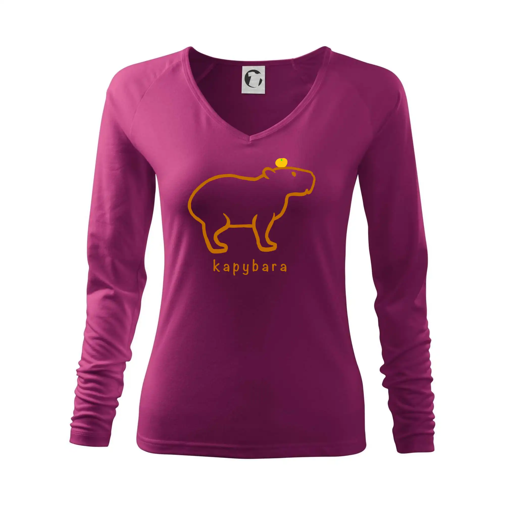 Kapybara hnědý obrys (Moňas)