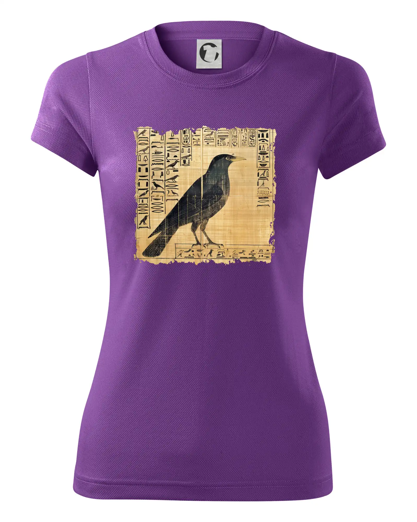 Egyptské hieroglyfy pták