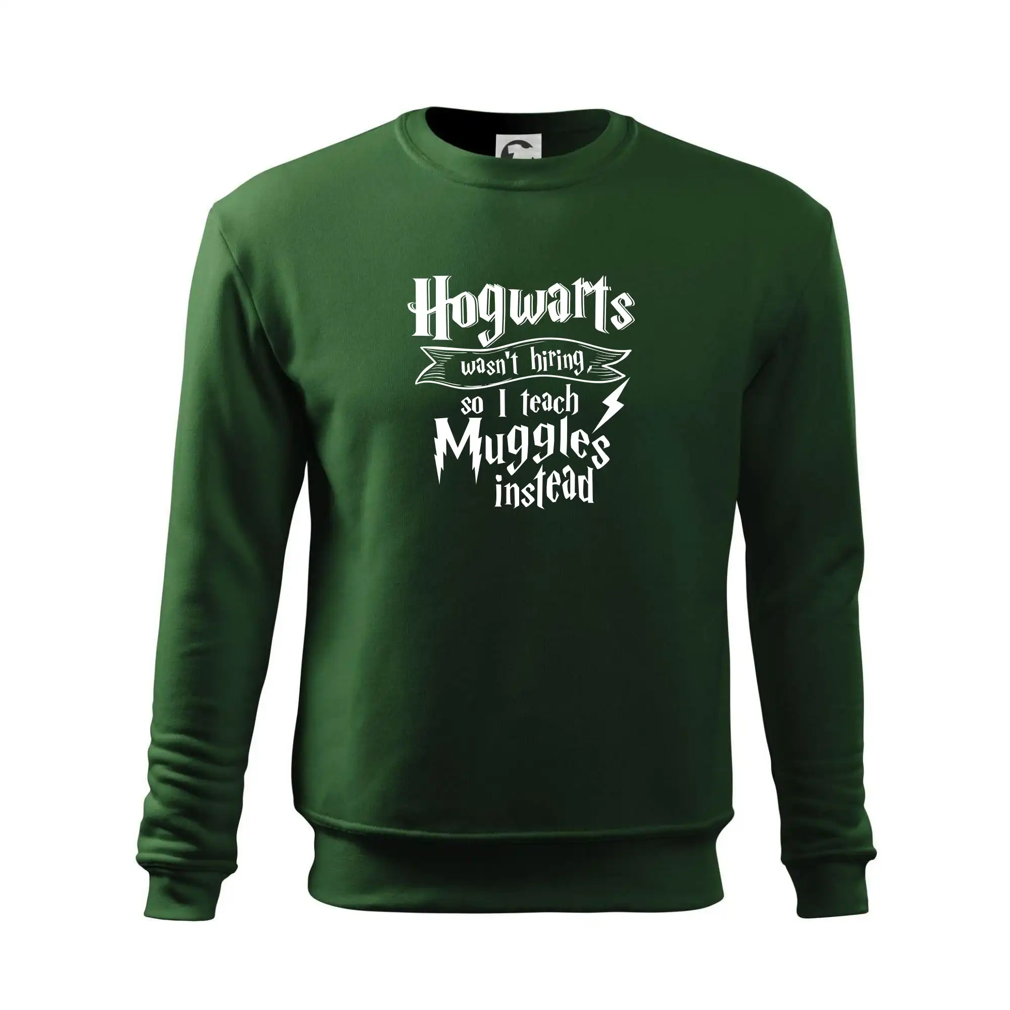 Harry - Hogwarts wasn’t hiring, so I teach Muggles instead