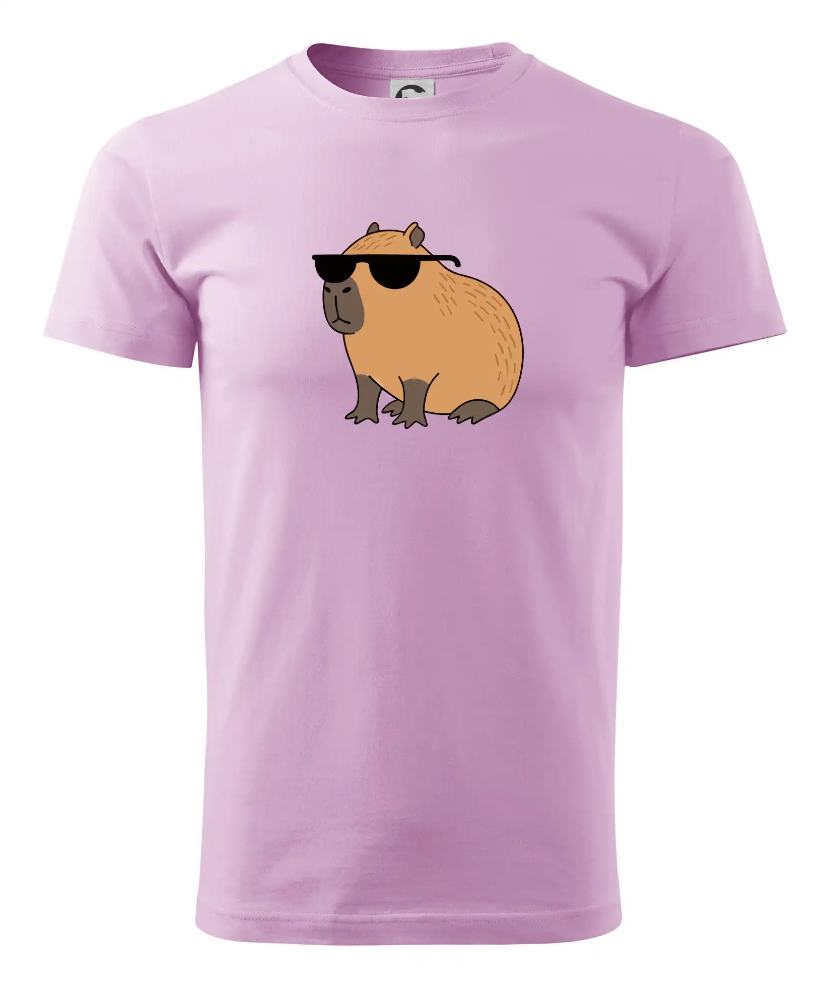 Hustá kapybara