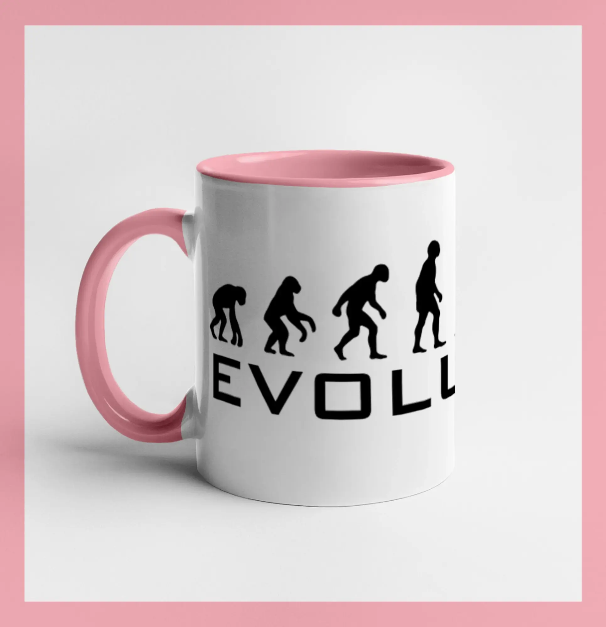 Evolúcia mechanik