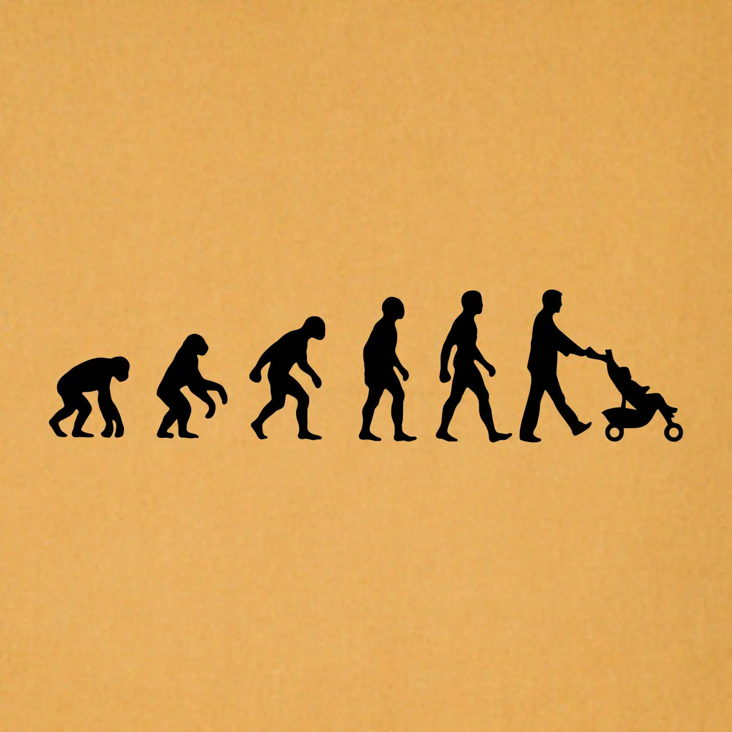 Evoluce tatínek