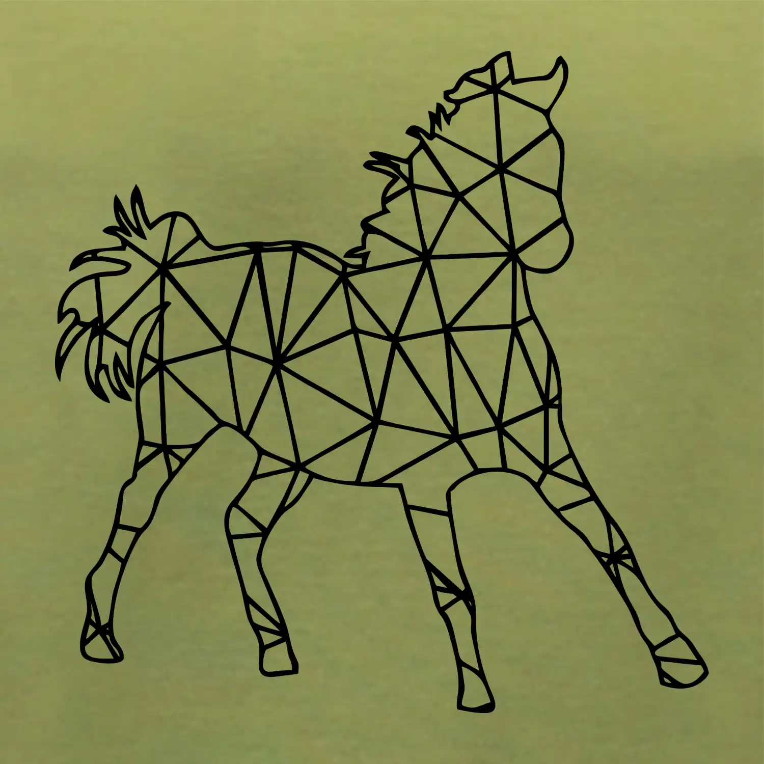 Geometrie - kůň jednobarevná