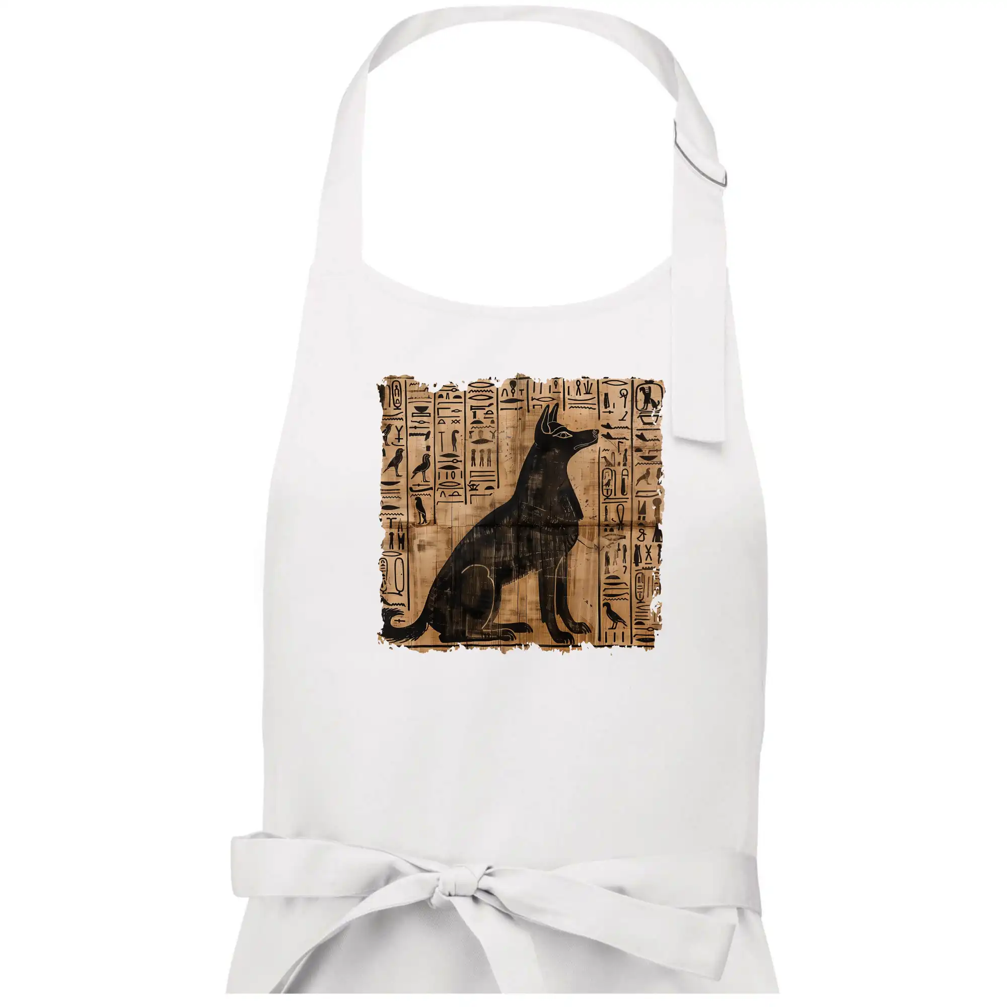 Egyptské hieroglyfy pes