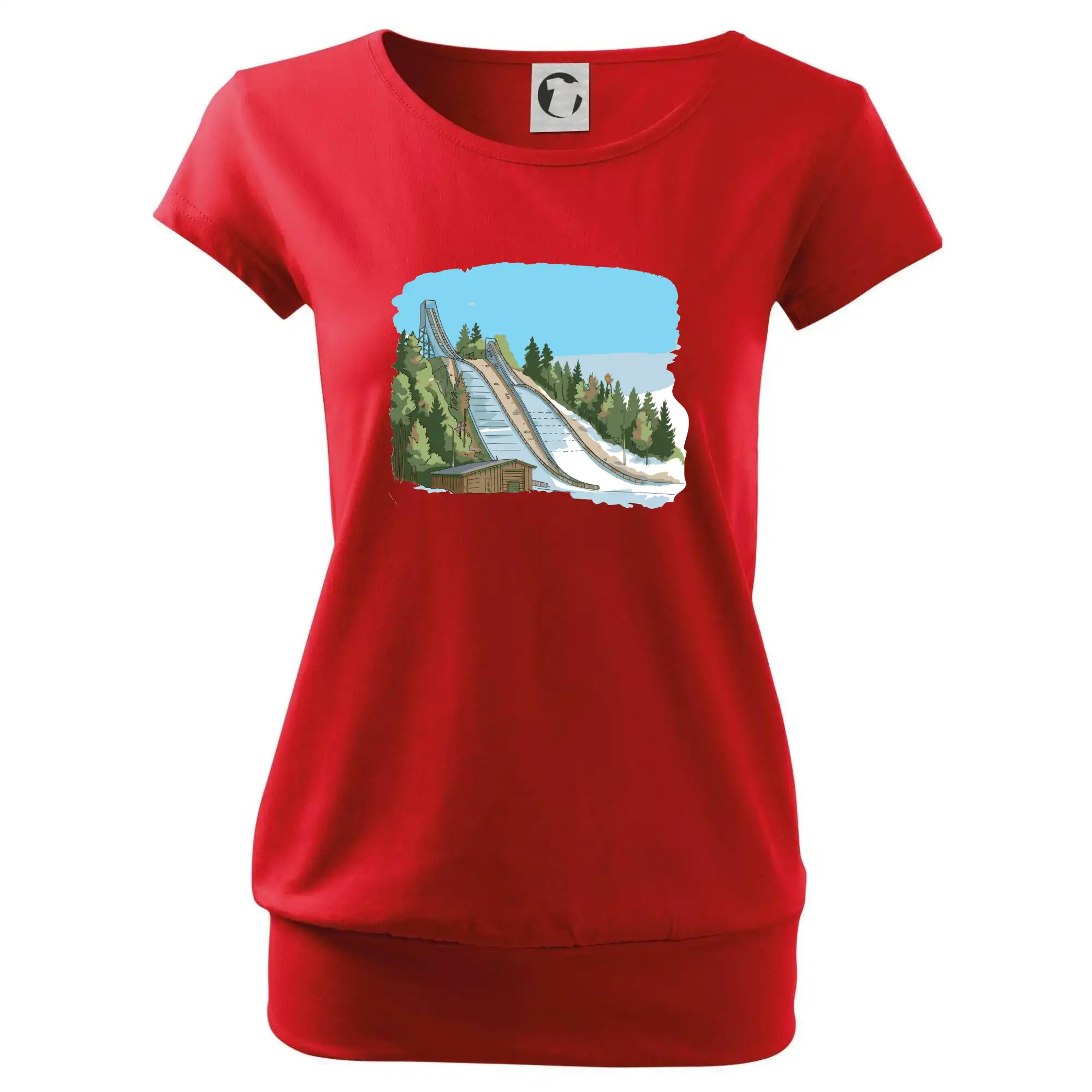 Obrázek skokanských můstků