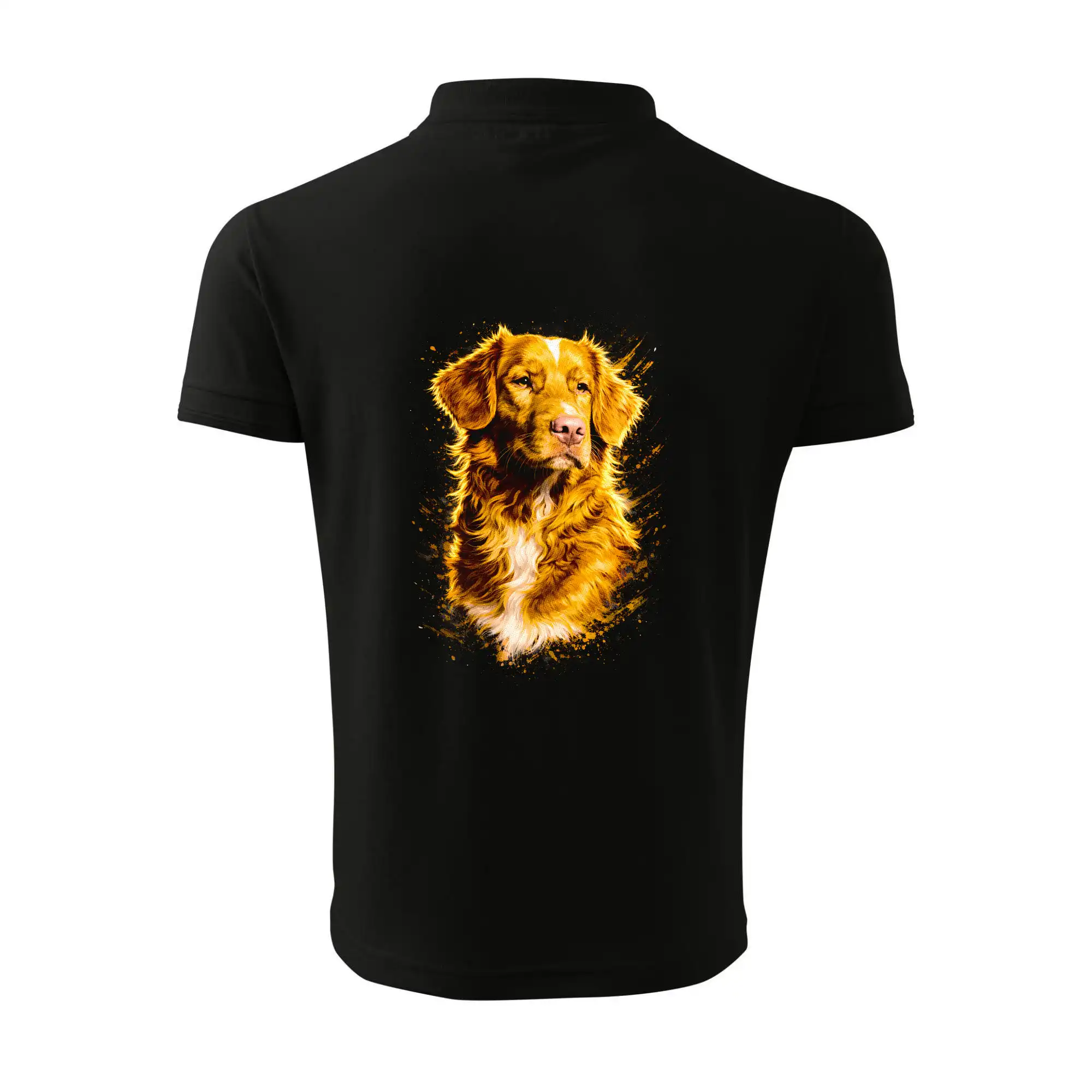 Obrázek polotón  Kanadský retrívr (Nova Scotia Duck Tolling Retriever)