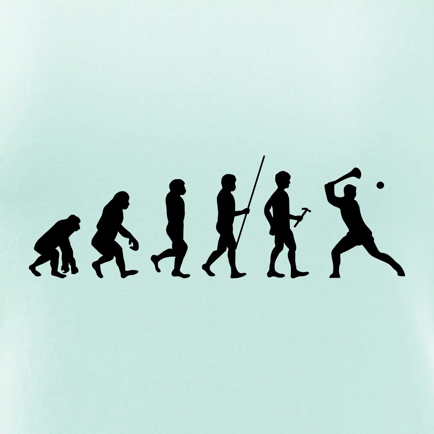 Evoluce hurling
