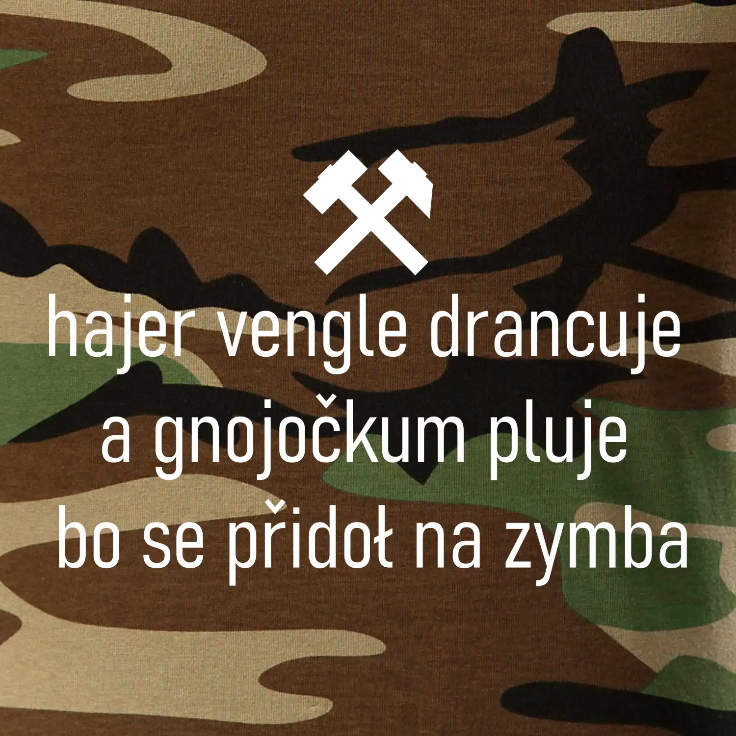 Hajer vengle drancuje a gnojočkum pluje bo se přidoł na zymba