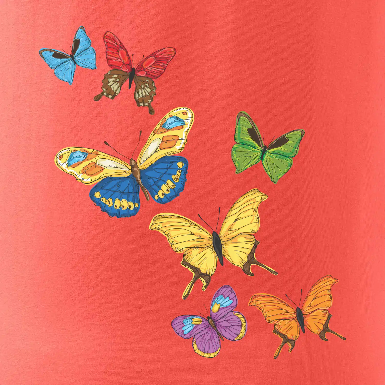 Barevní motýli