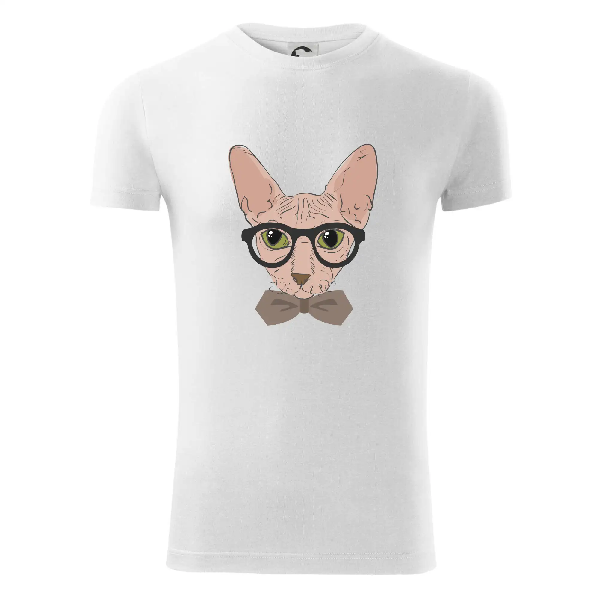 Hipster sphynx