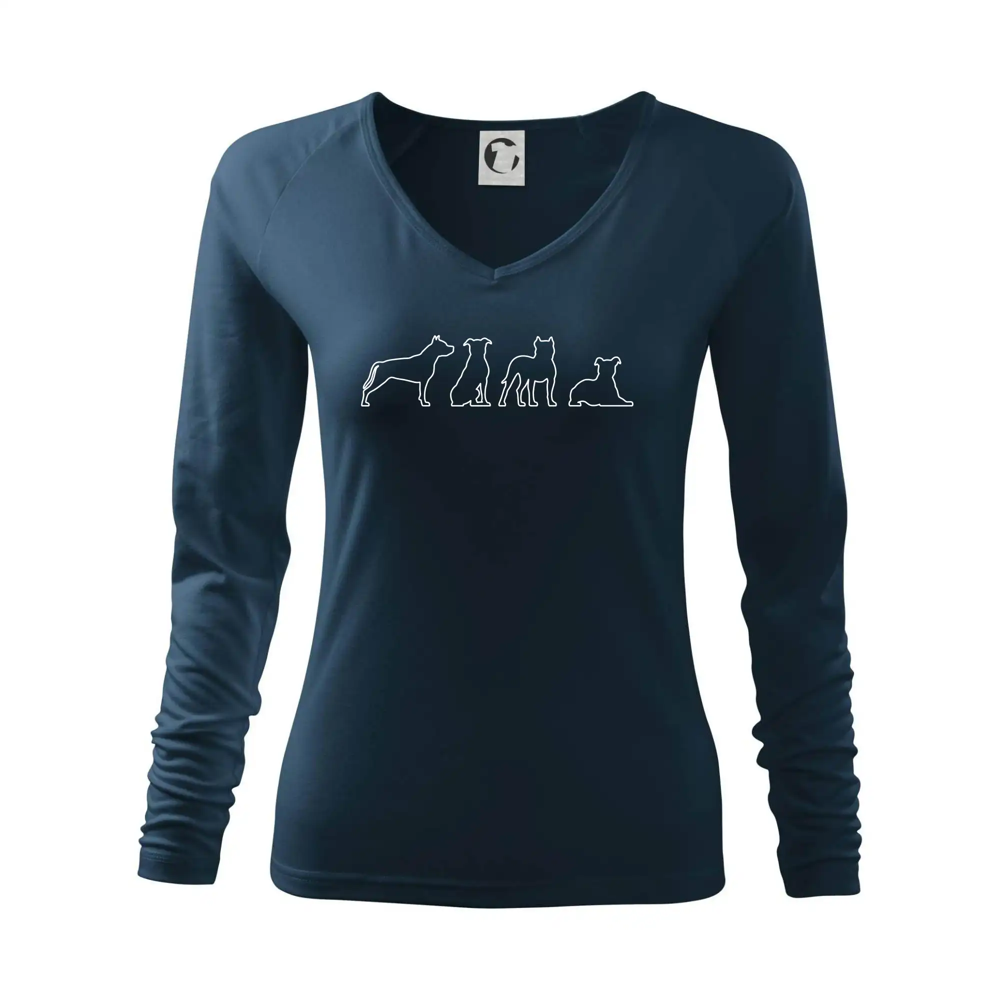 Americký stafordširský teriér v různých pozicích