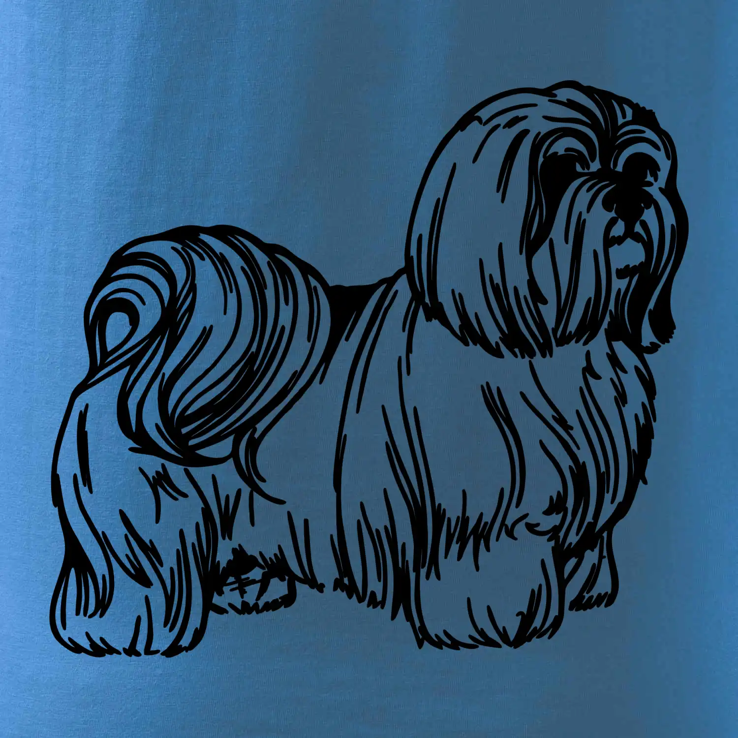 Shih-tzu - chlupatý