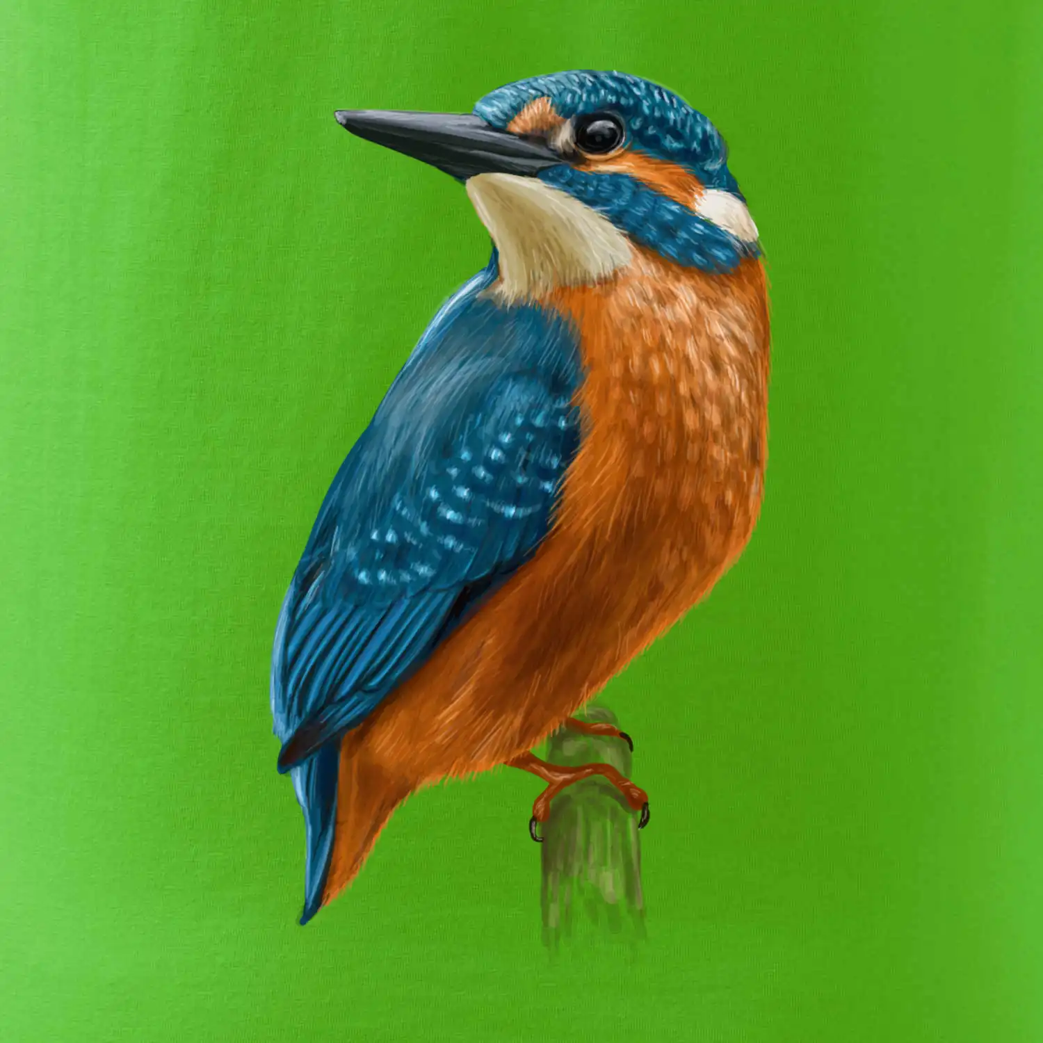 Lednáček kreslený