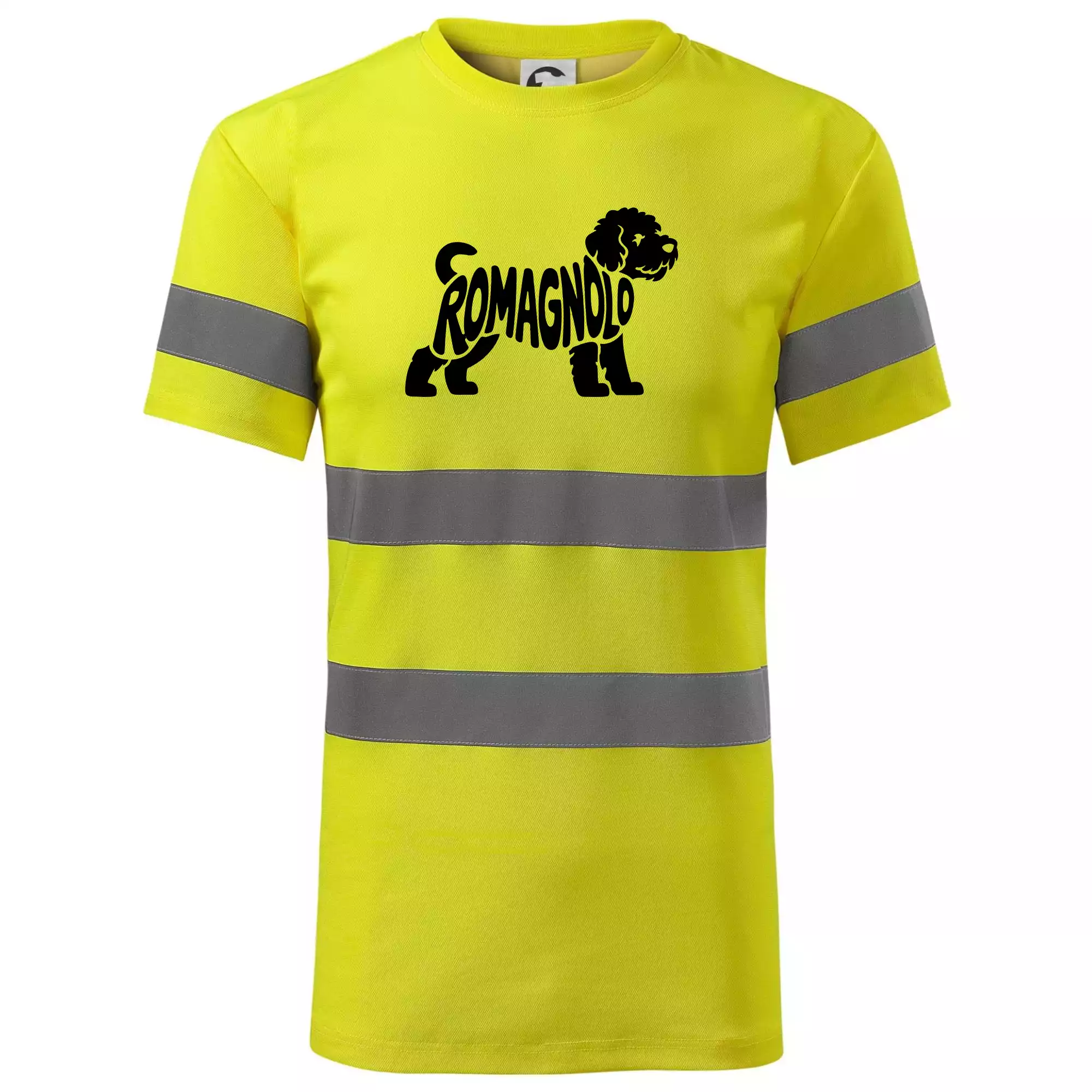 Romagnolo nápis v těle