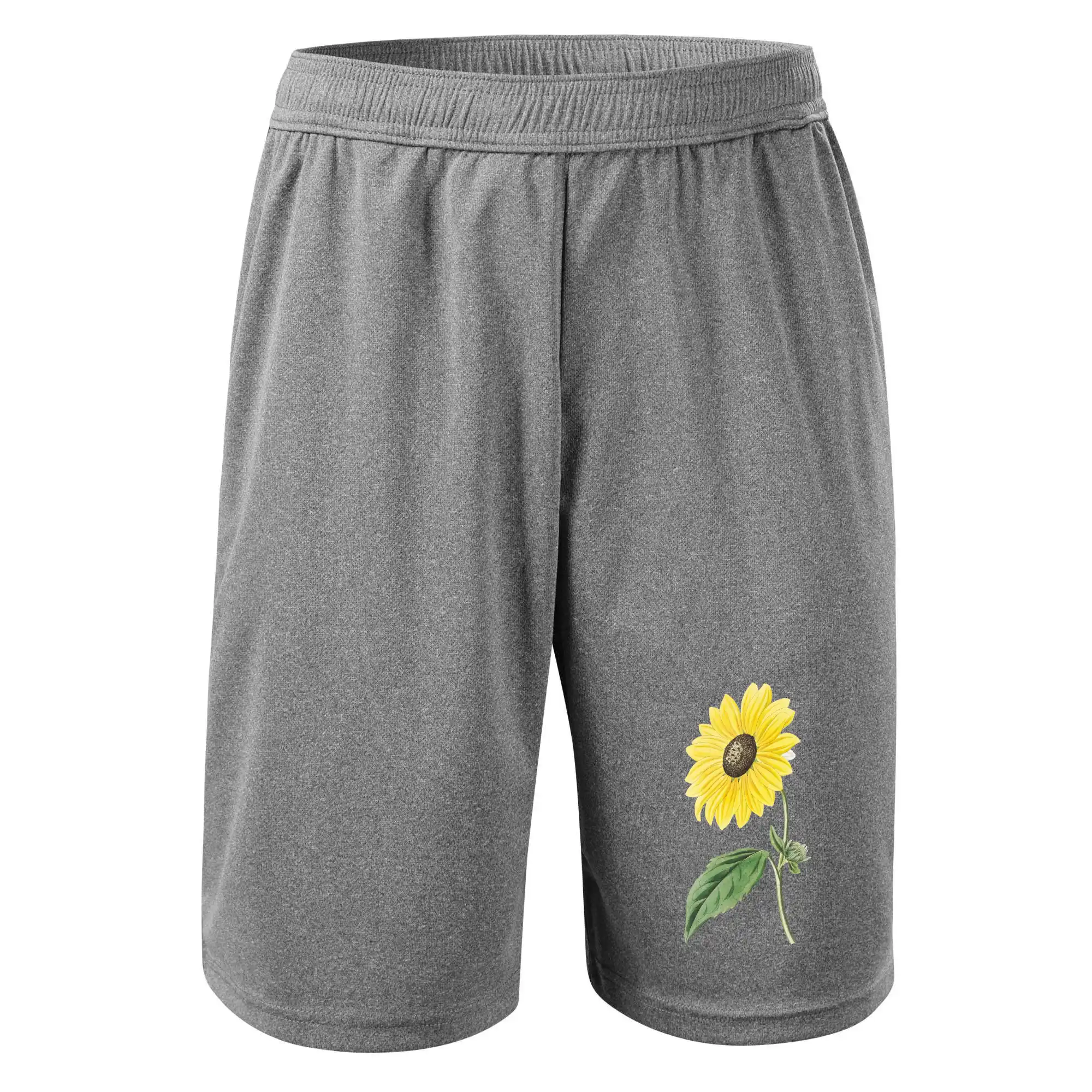 Slunečnice otočená