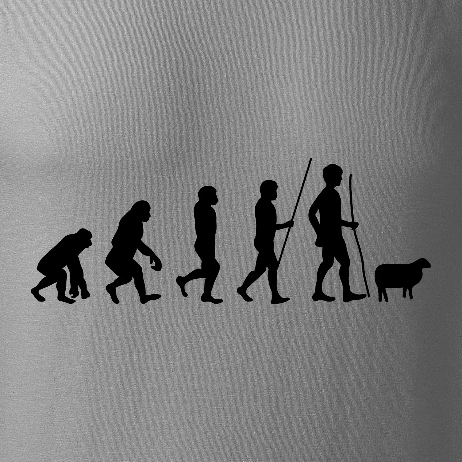 Evoluce pastevec ovcí