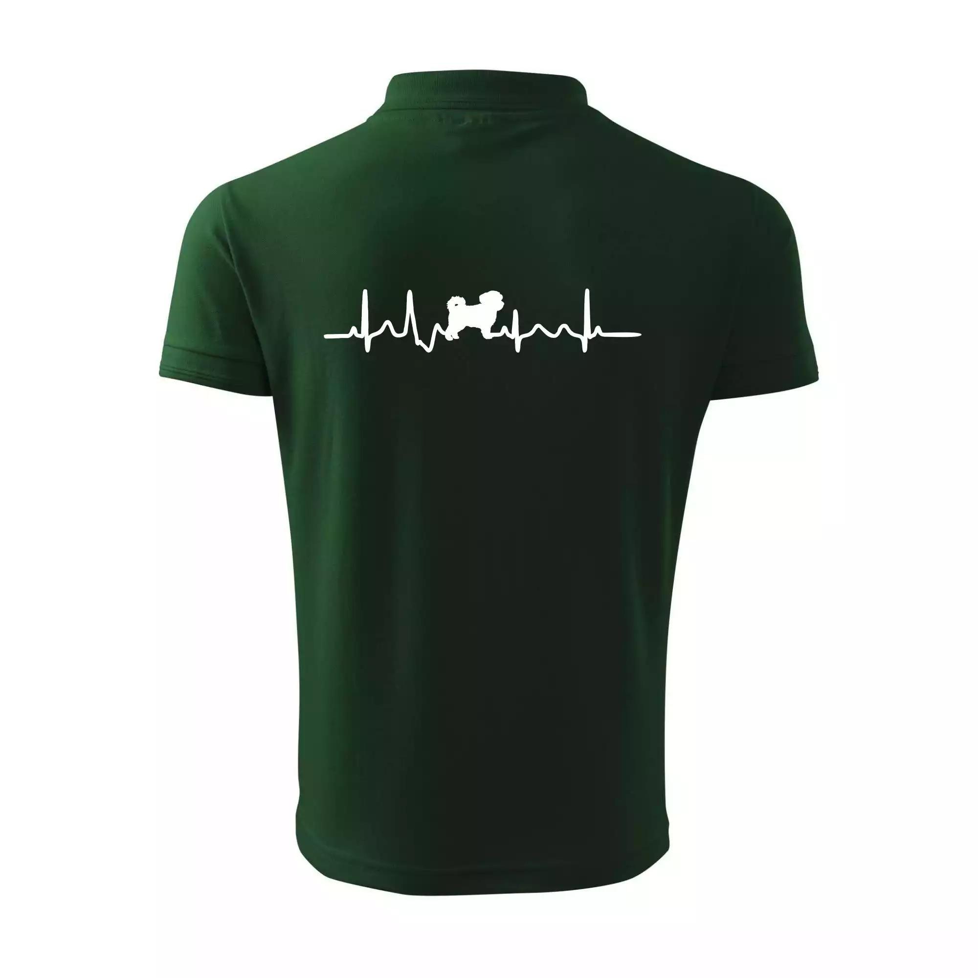Havanský psík ekg