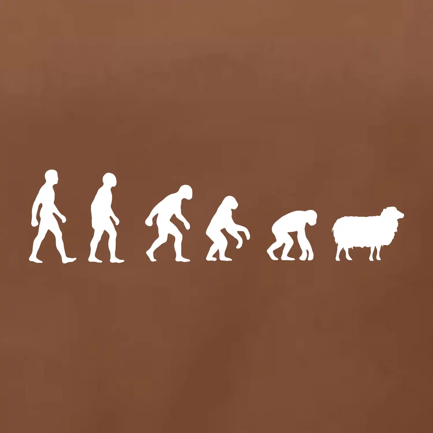 Evoluce ovce