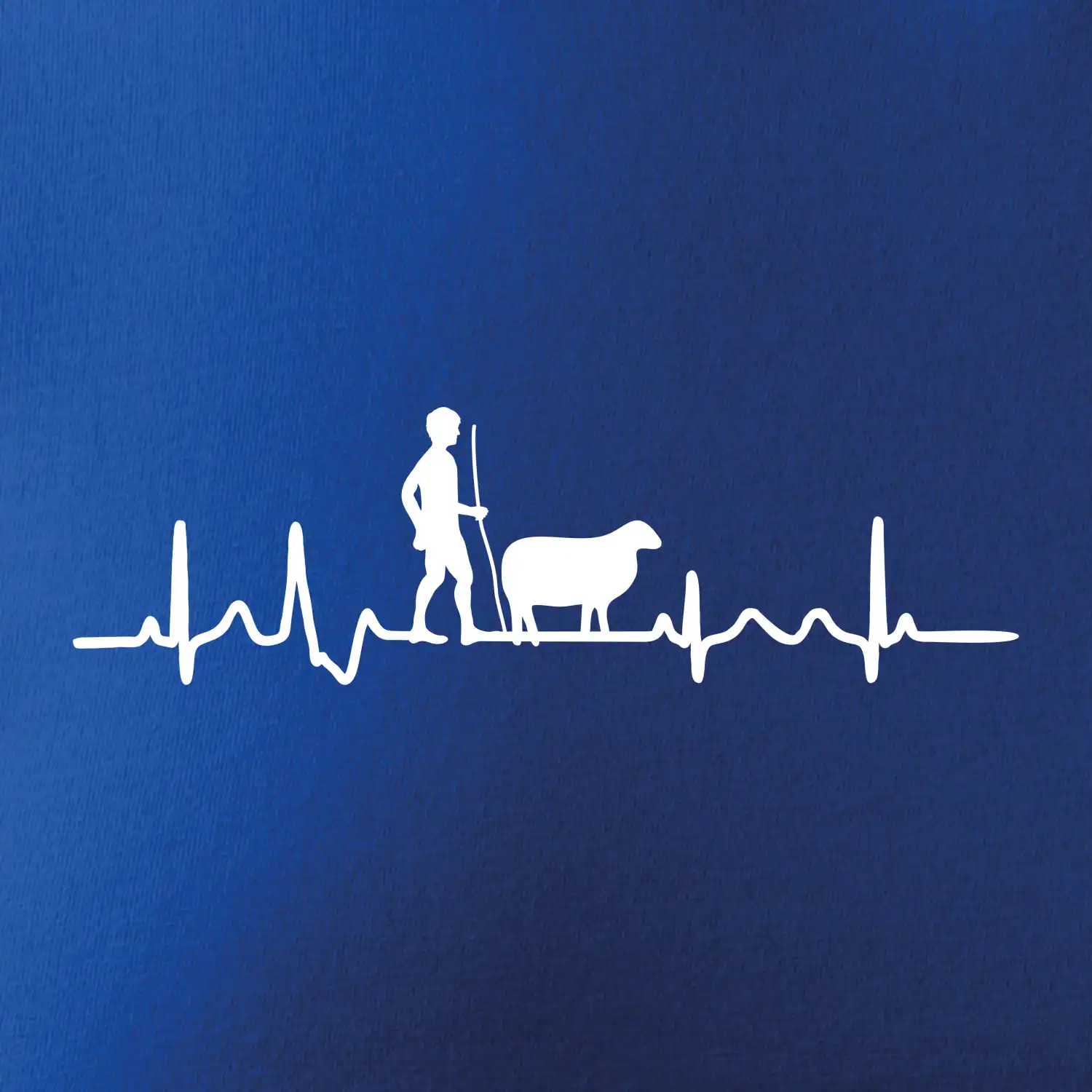 Ekg pastevec ovcí