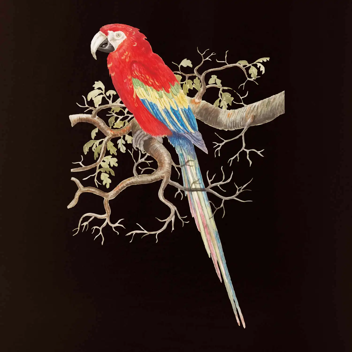 Papoušek na listnatém stromě