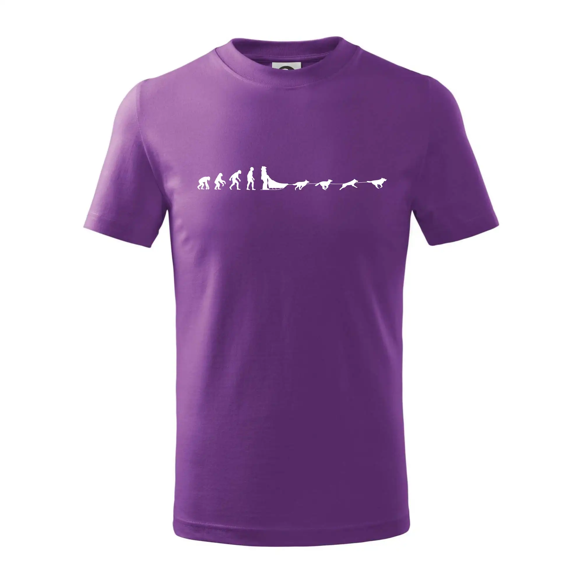 Evoluce psí spřežení