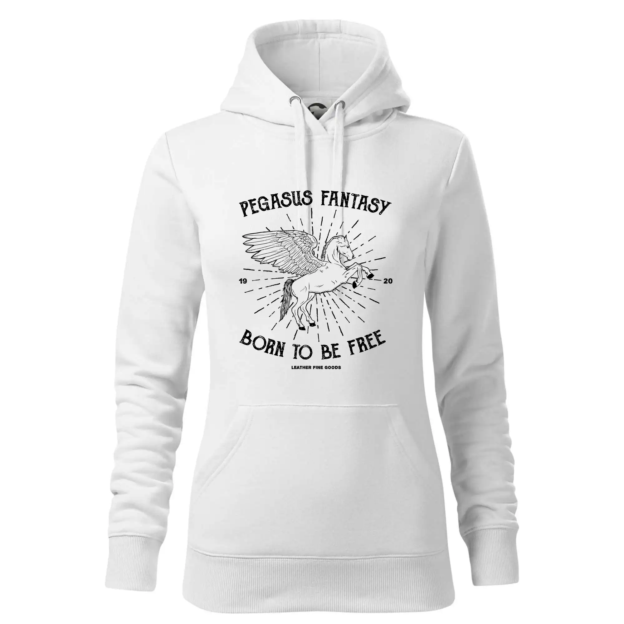 Pegasus fantasy