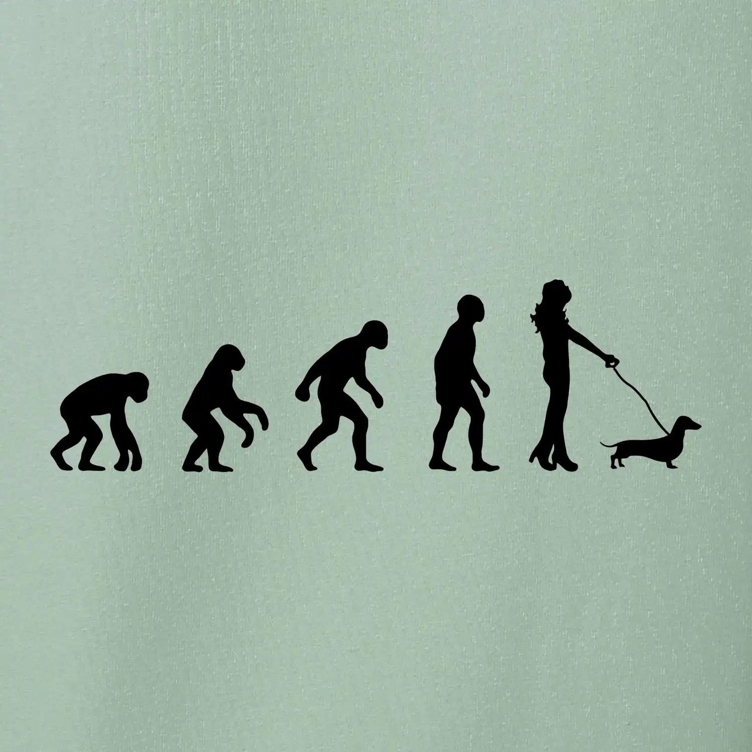 Jezevčík Evoluce žena