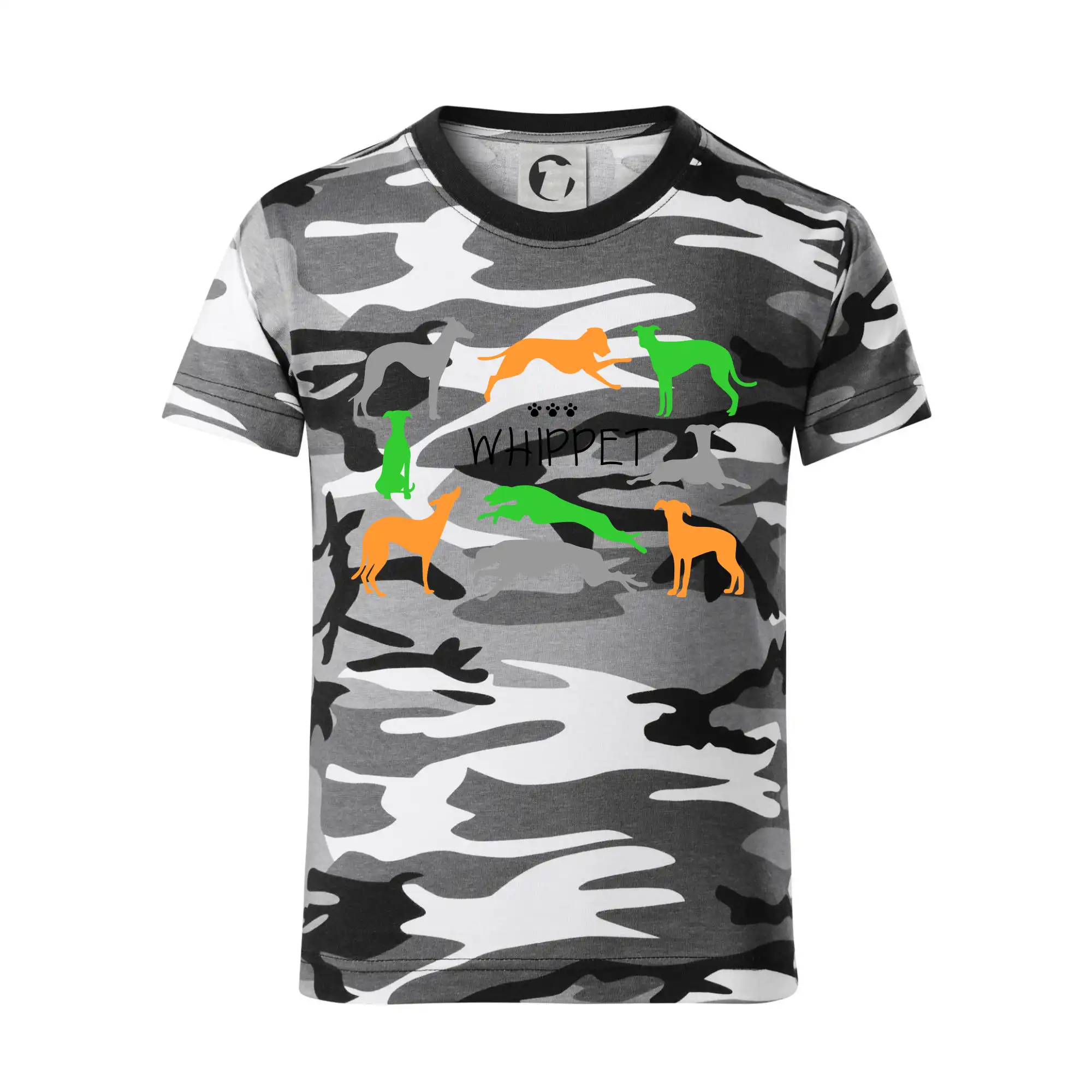 Whippet barevný