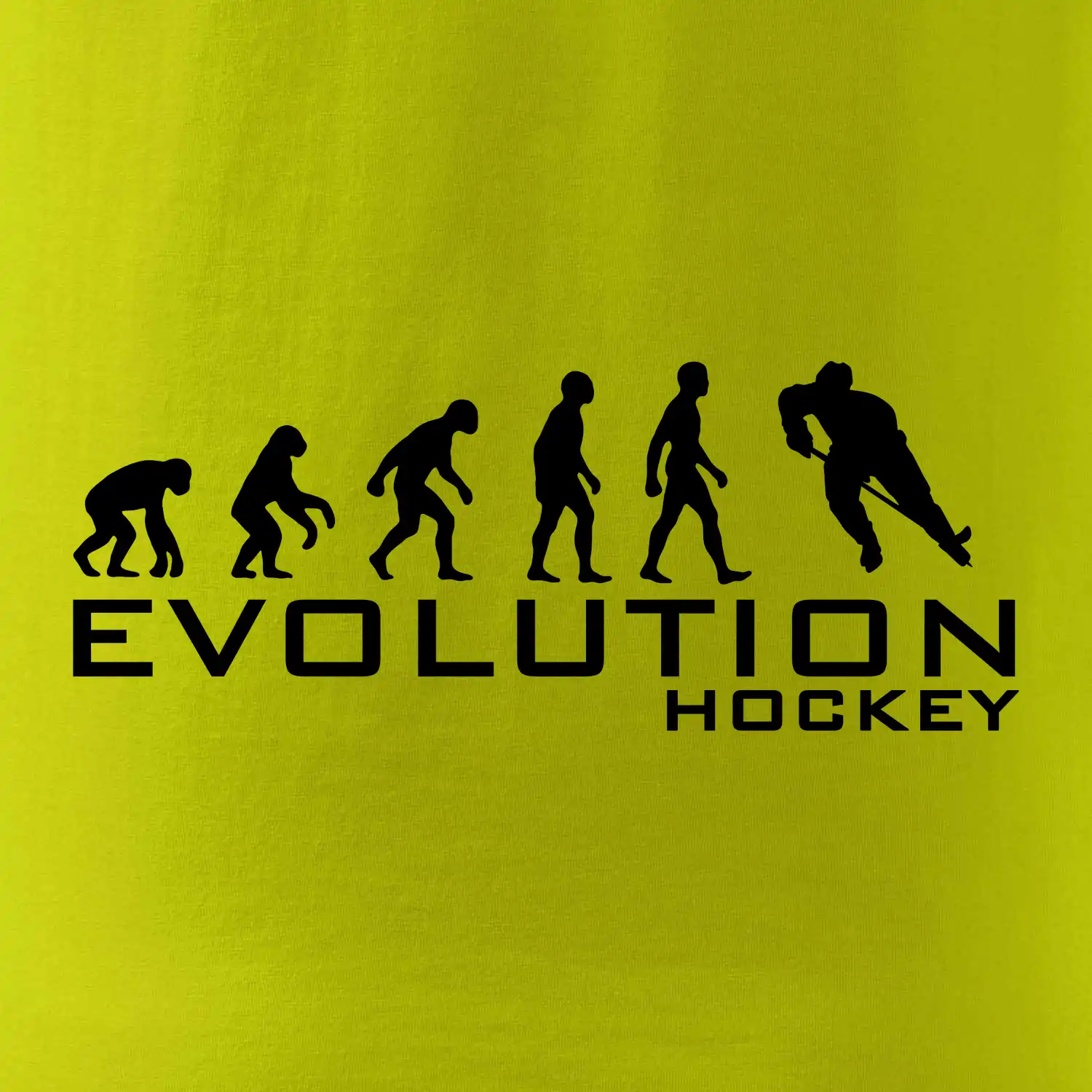 Evoluce Hockey - hráč