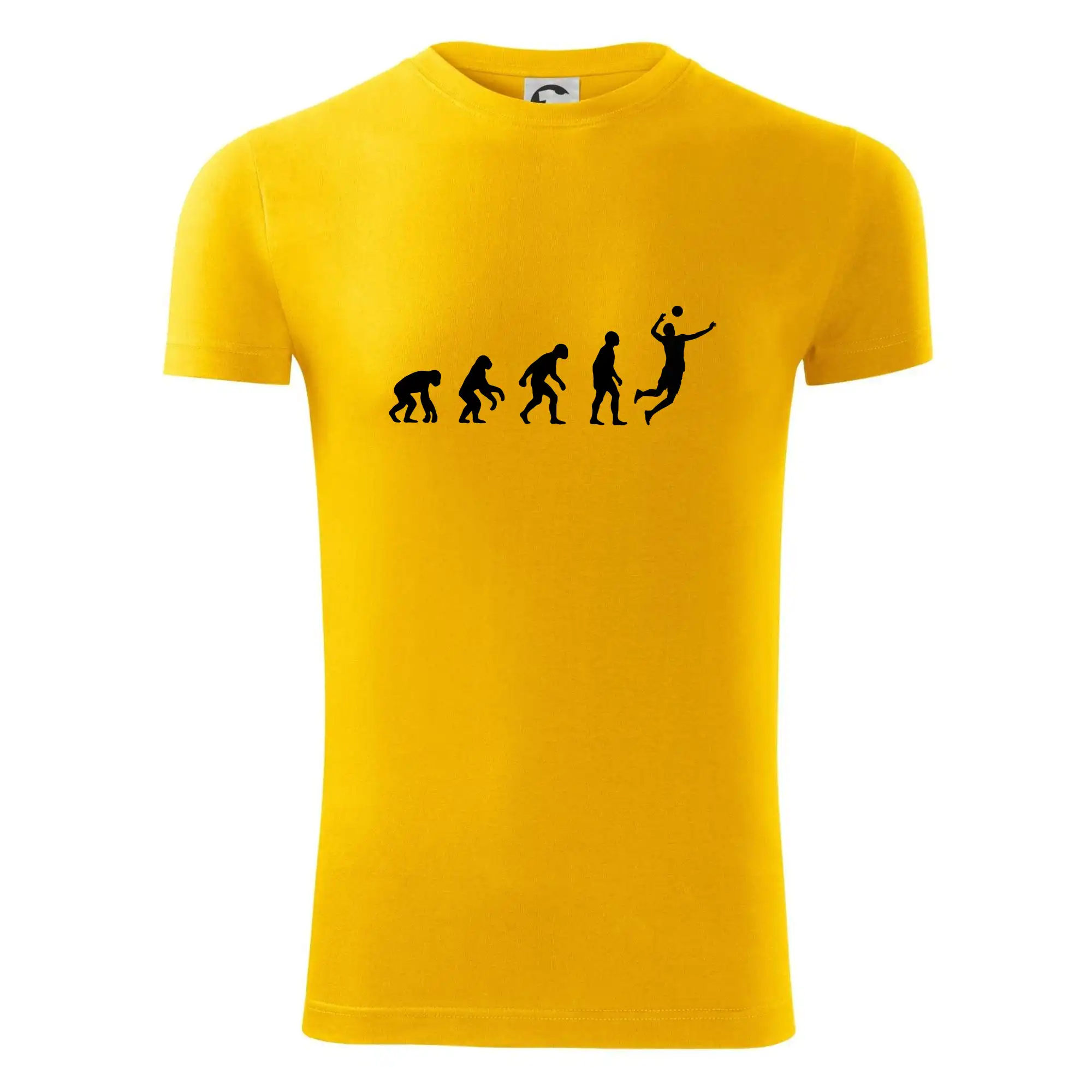 Evoluce volejbal smeč