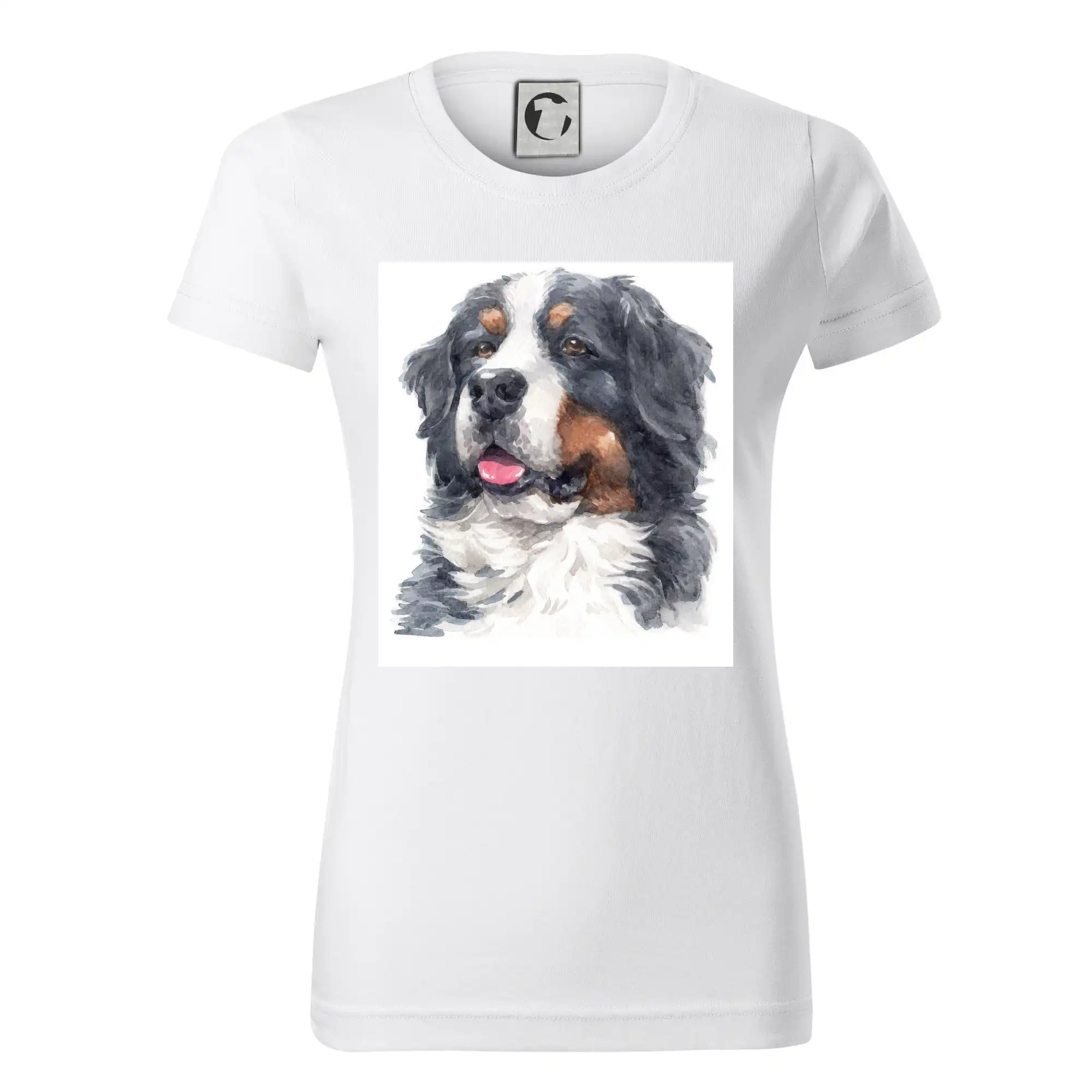 Bernský salašnický pes - hlava vodová barva