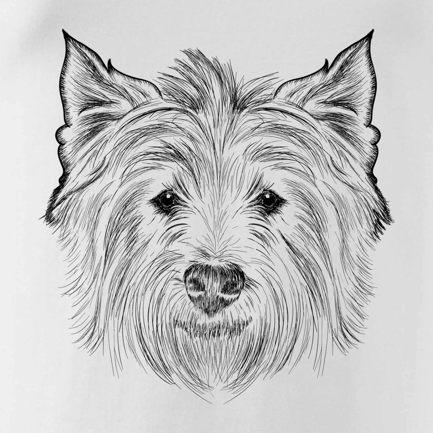 Teriér kresba