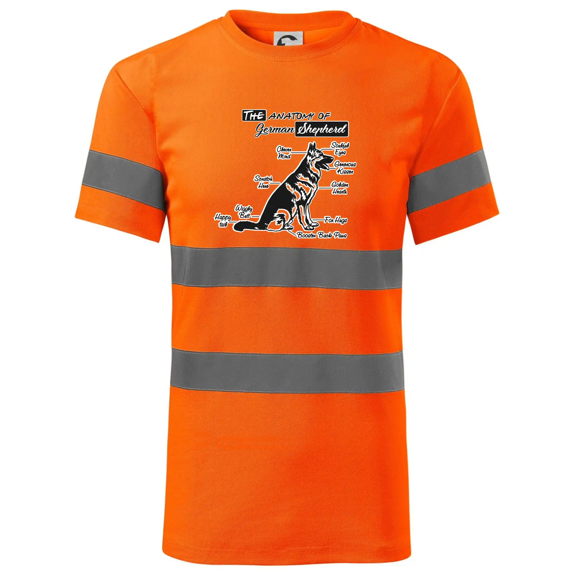 Německý ovčák - Anatomie