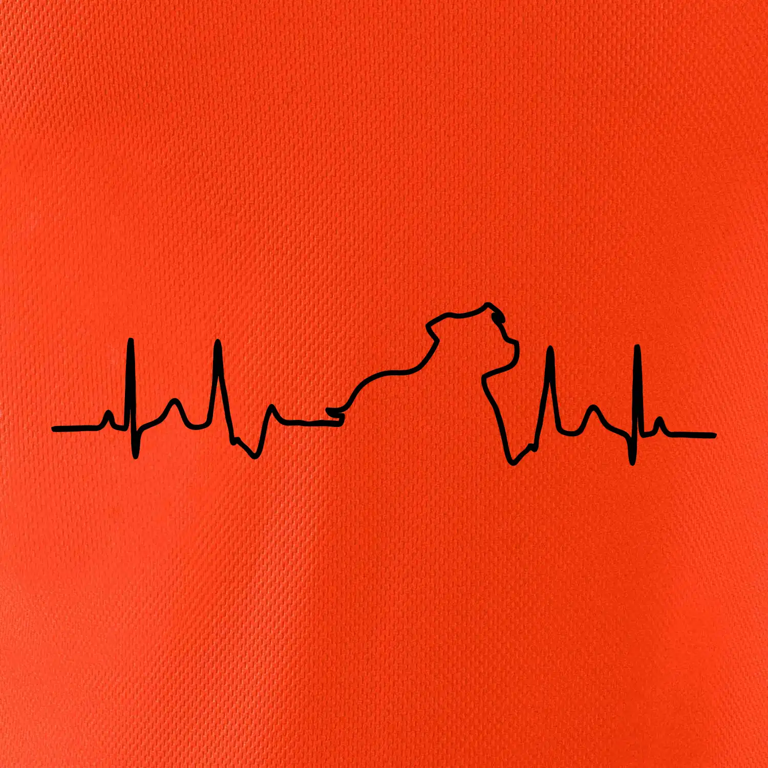 Stafordšírsky bulteriér EKG