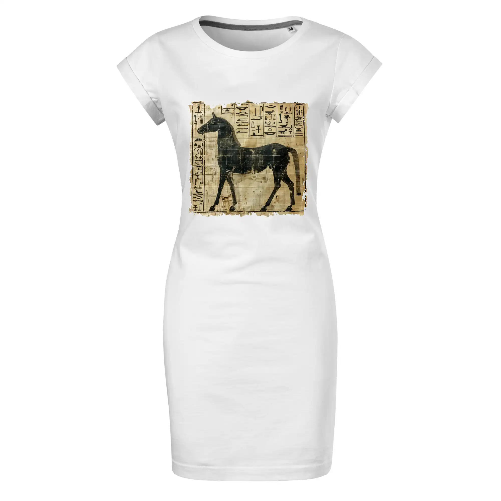 Egyptské hieroglyfy kůň