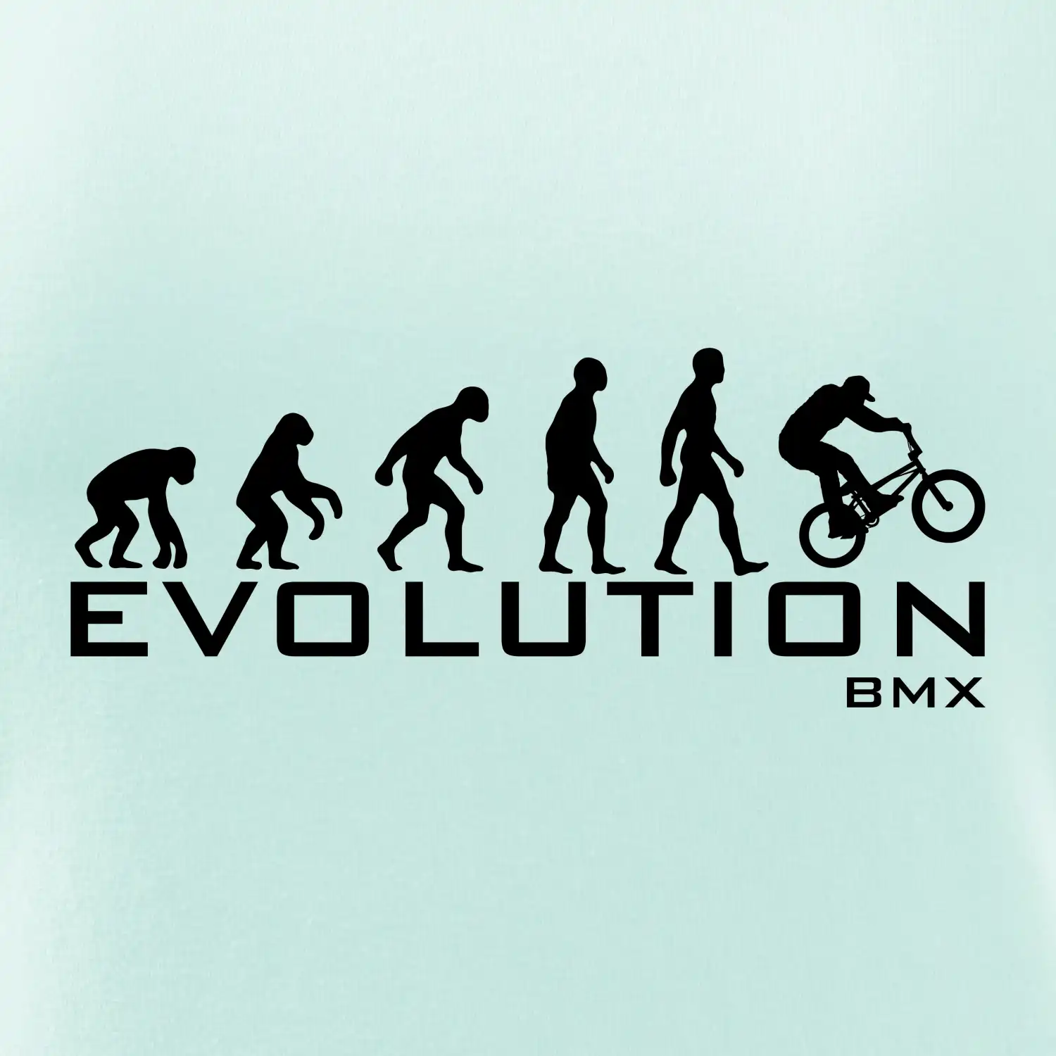 Evoluce BMX