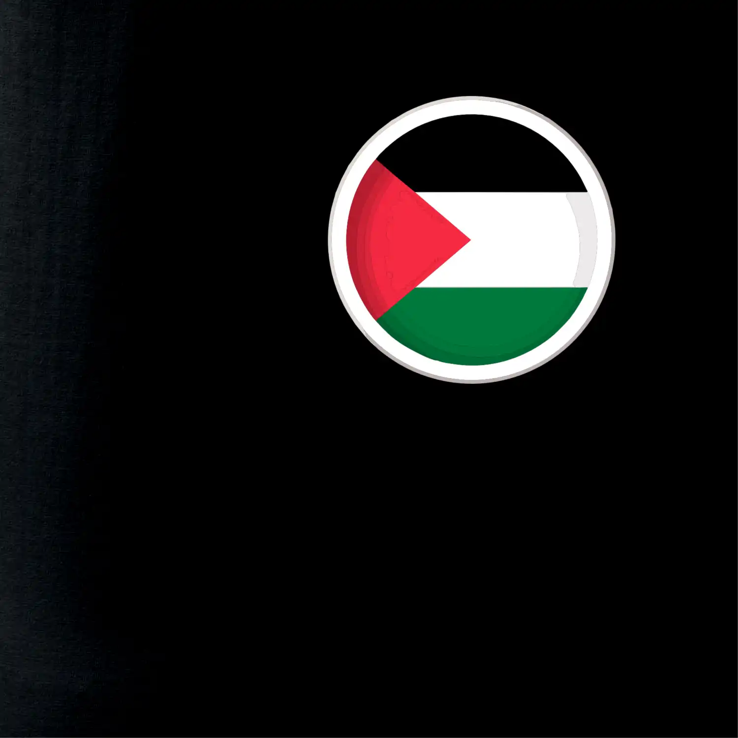 Palestina vlajka prso