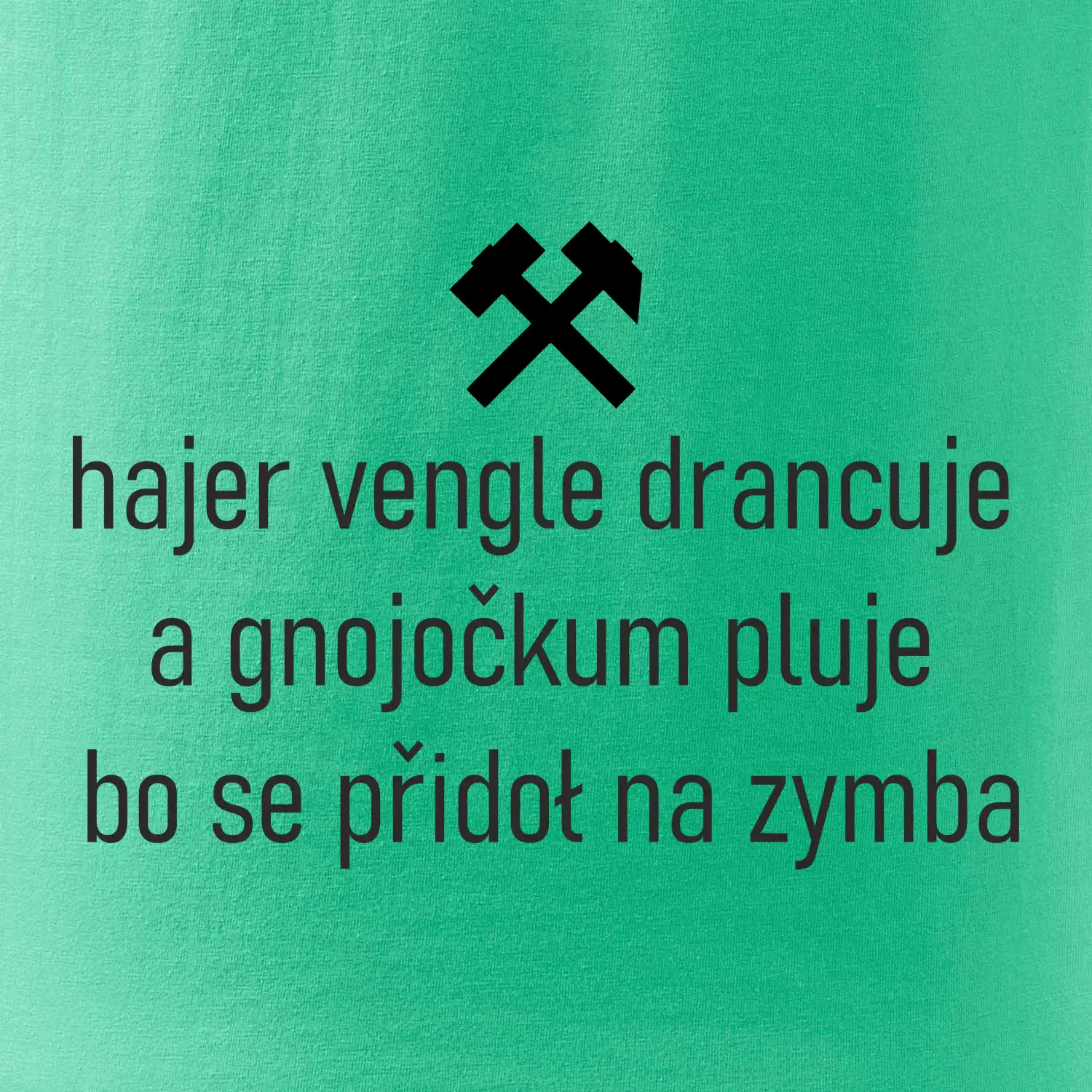Hajer vengle drancuje a gnojočkum pluje bo se přidoł na zymba