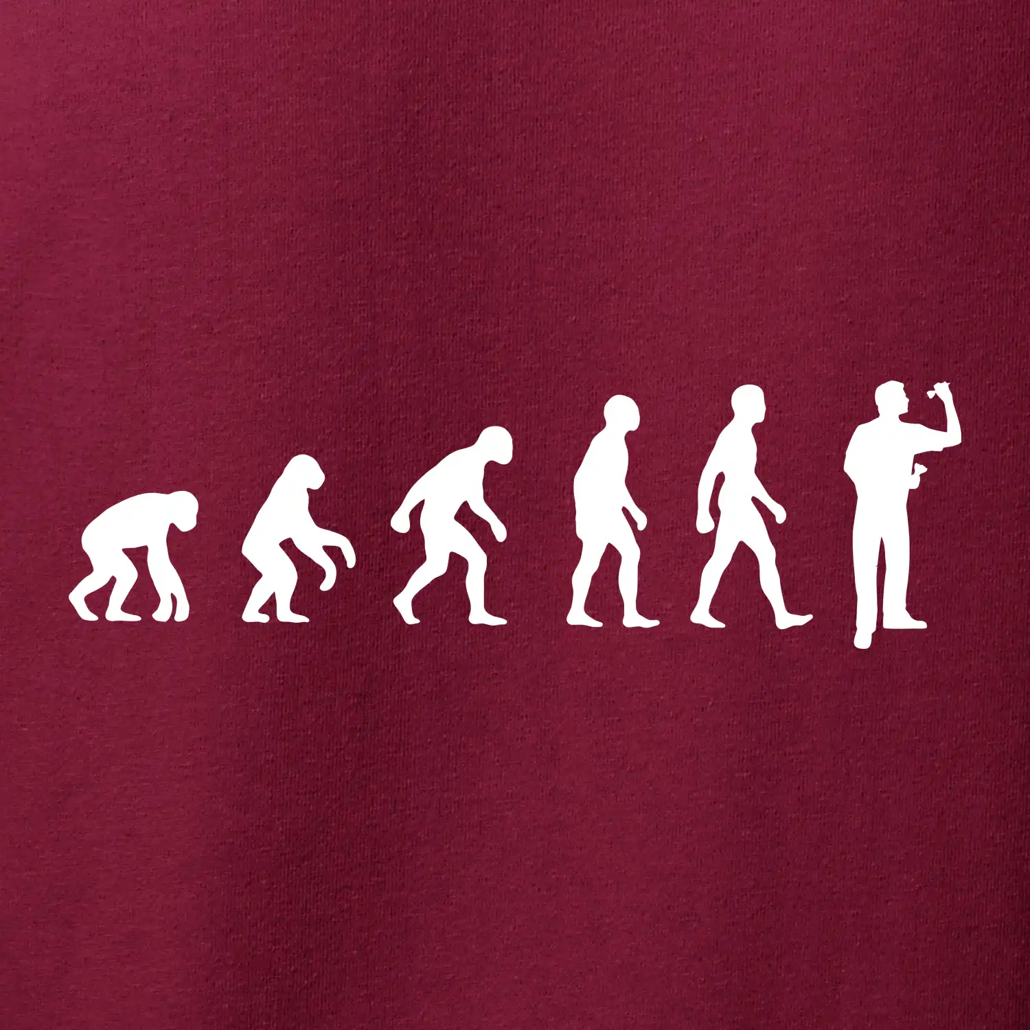 Evoluce šipky