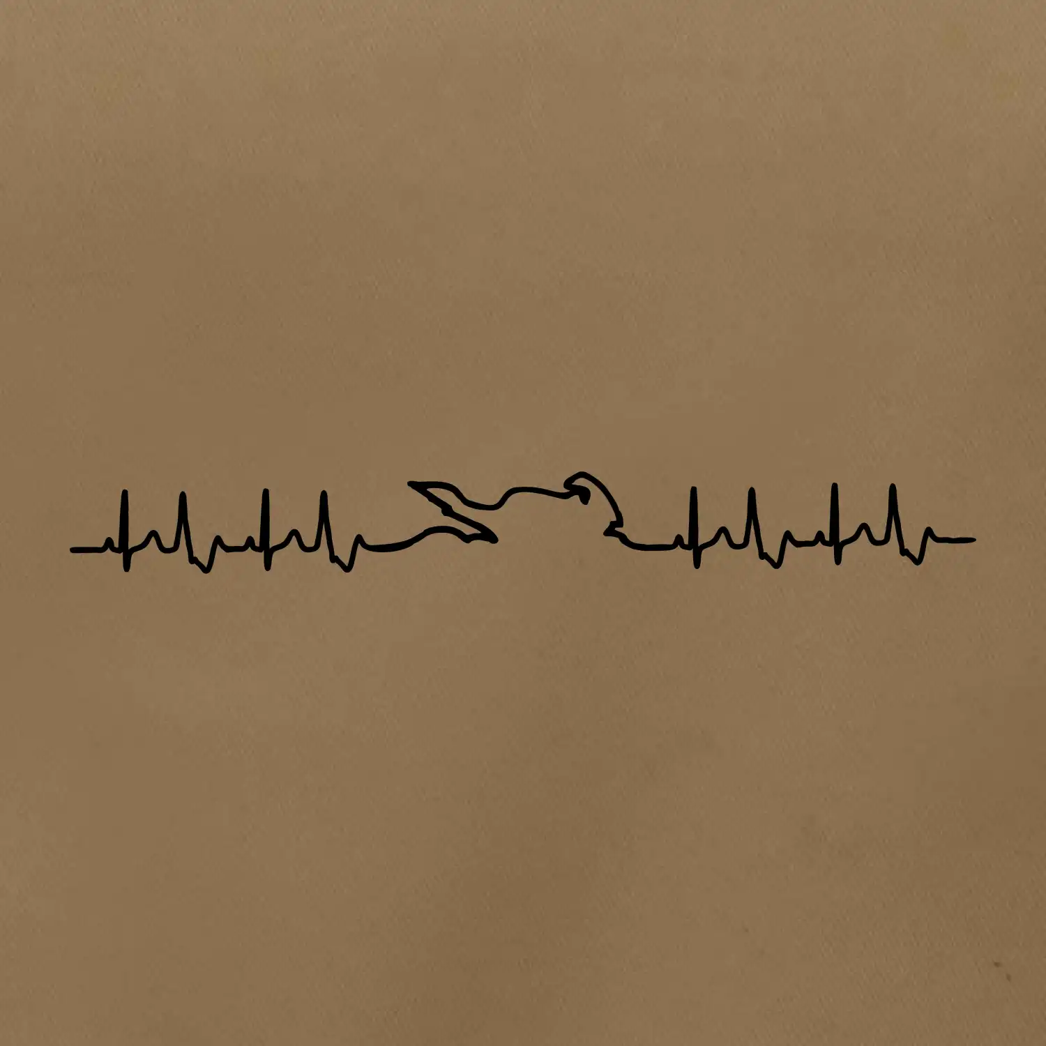 Moto EKG