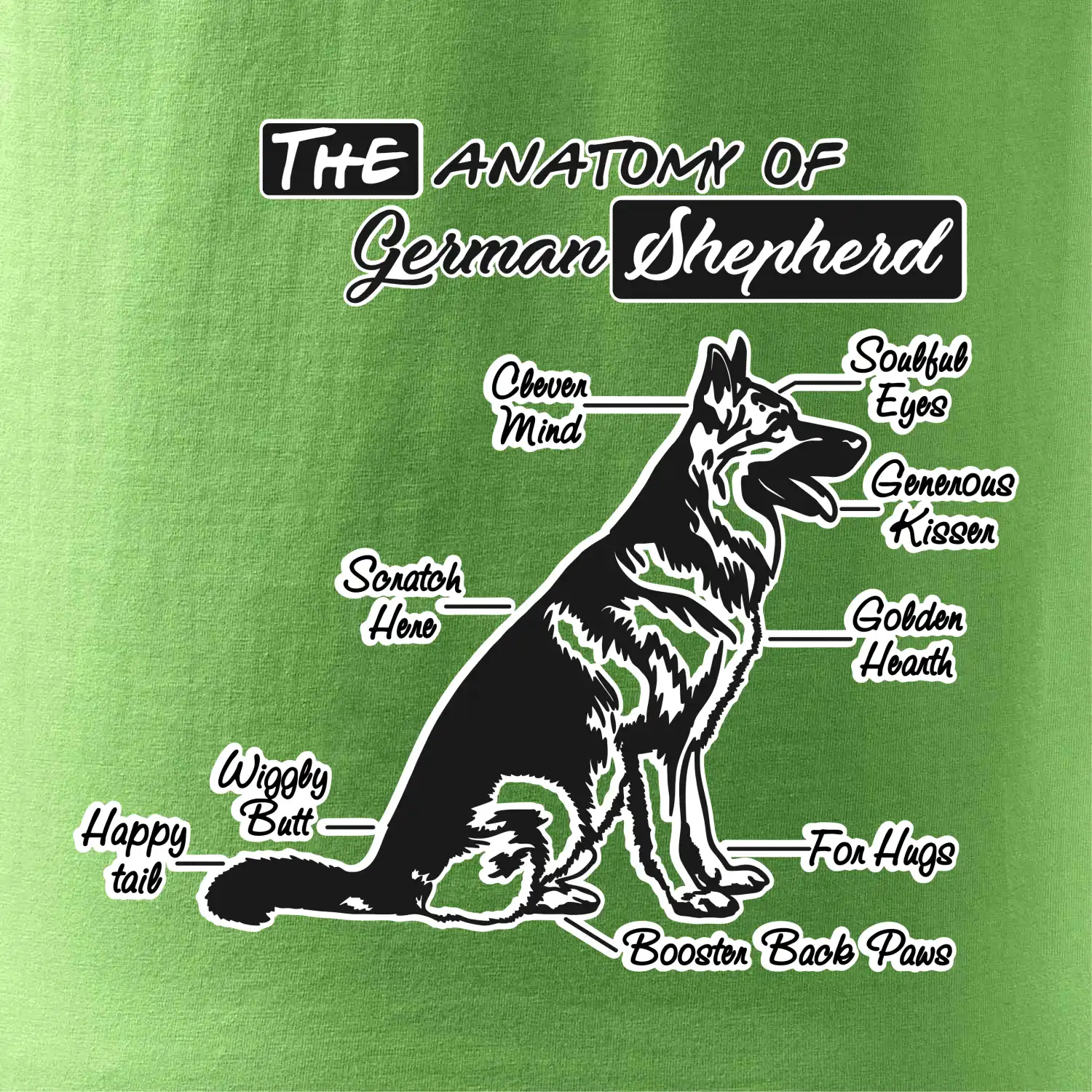 Německý ovčák - Anatomie