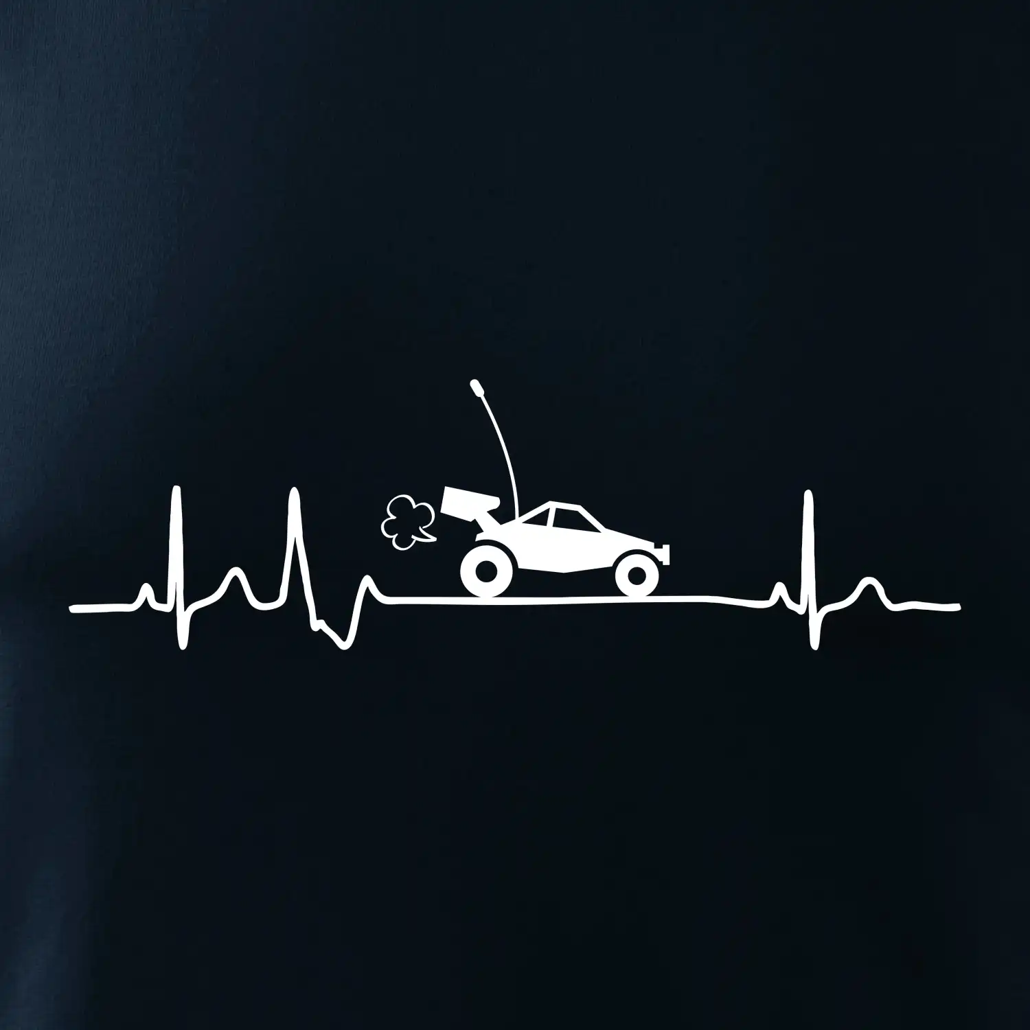 EKG RC model