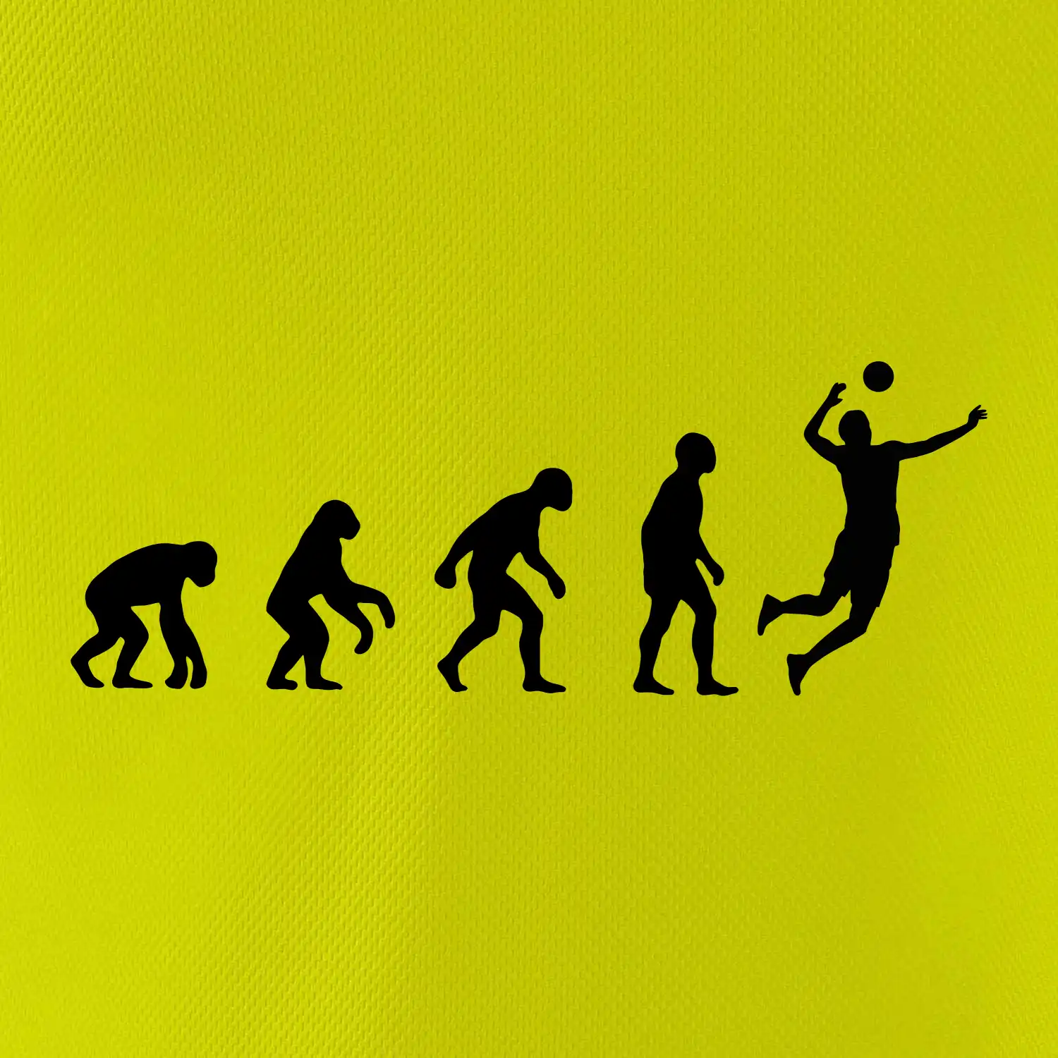 Evoluce volejbal muž