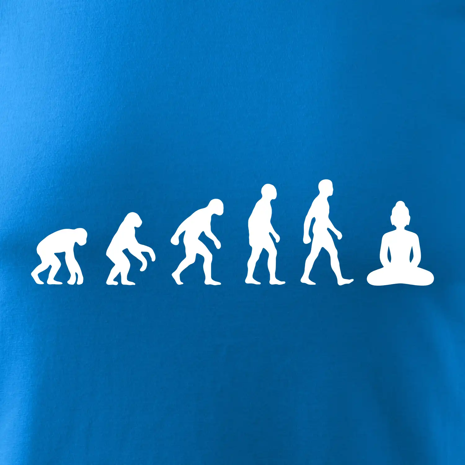 Evoluce budha
