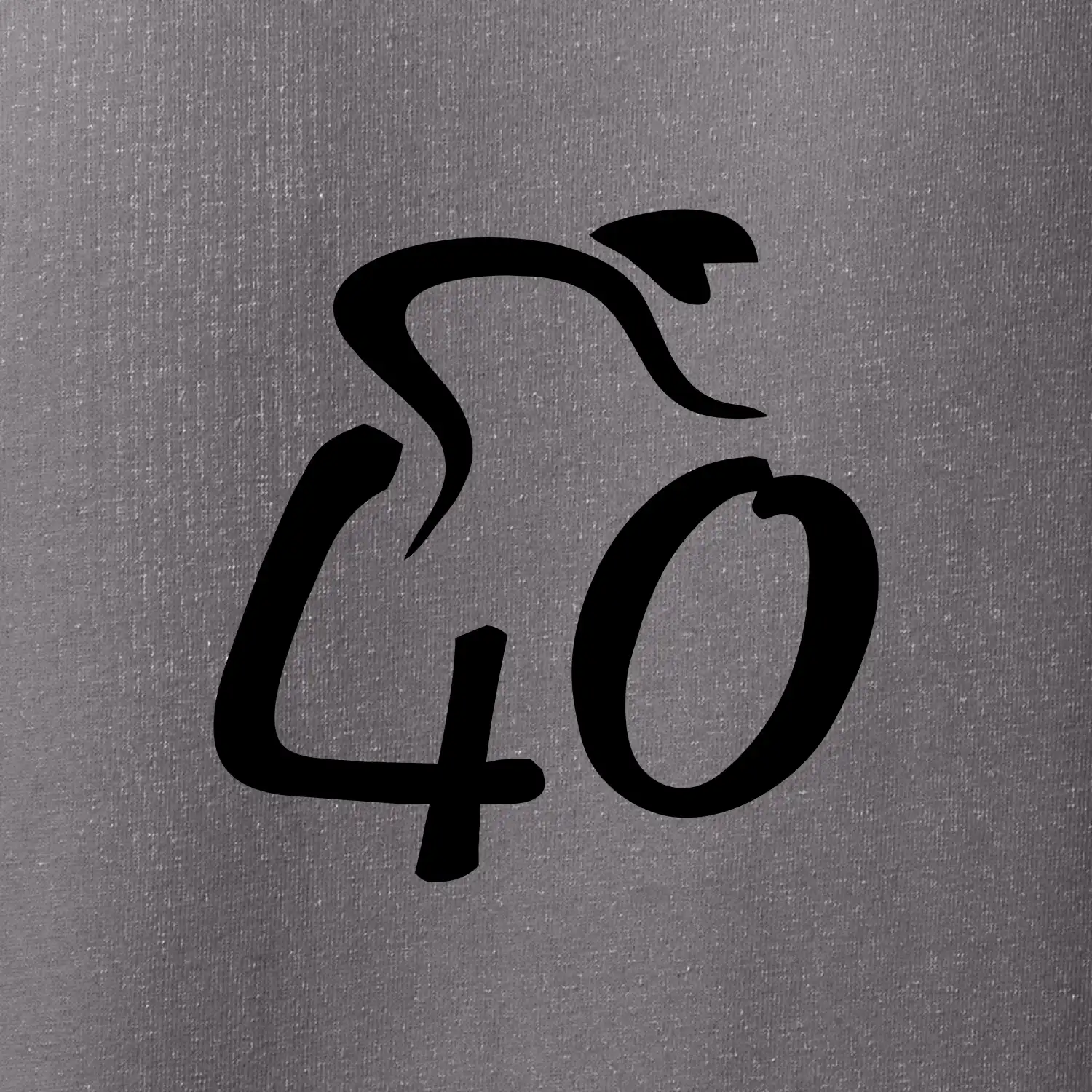 Cyklista slaví čtyřicítku (40)