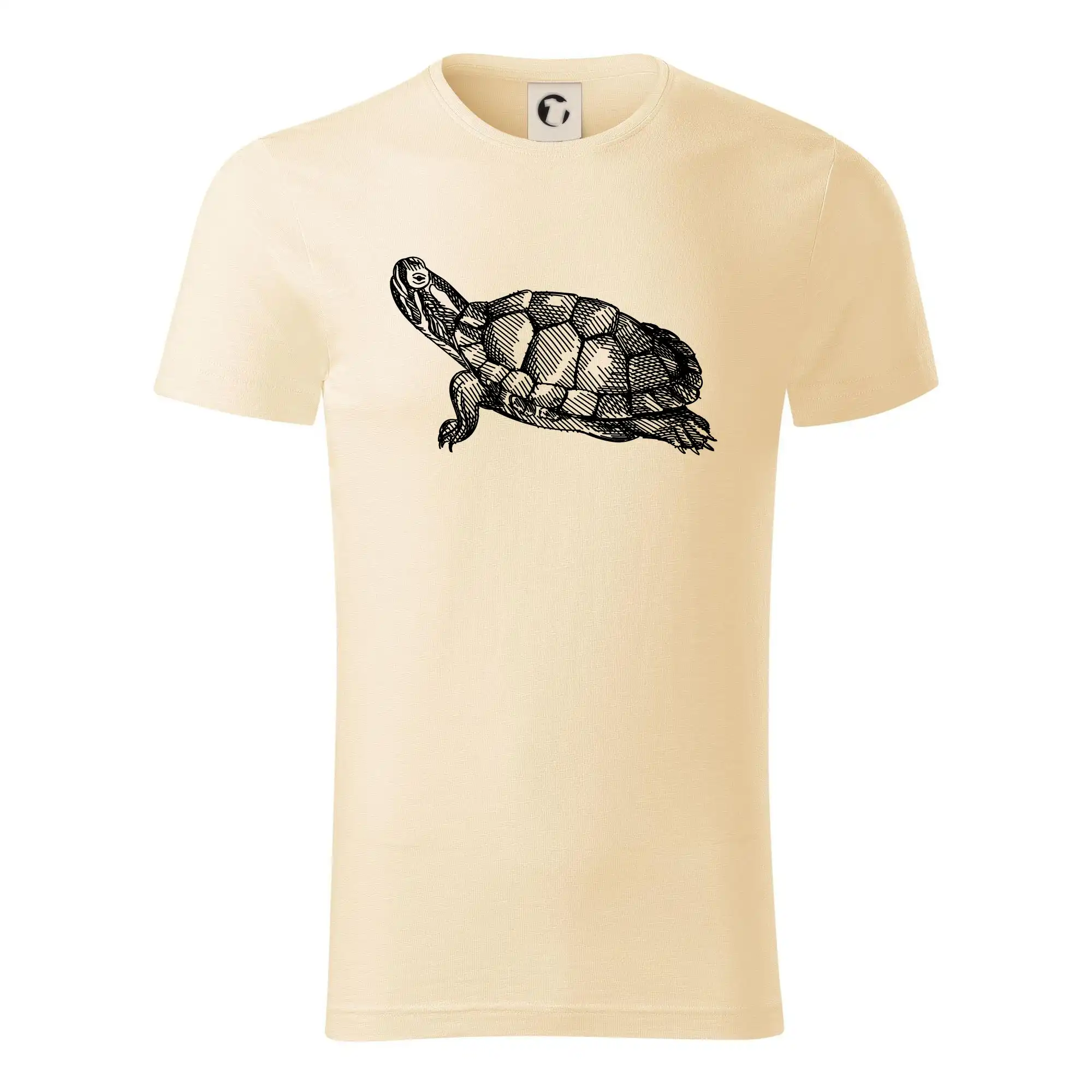 Tužkou kreslená želva